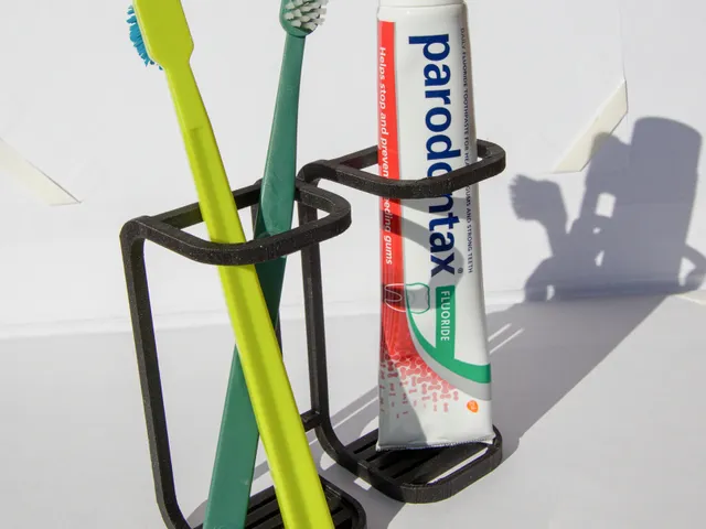 Toothbrush and paste holder