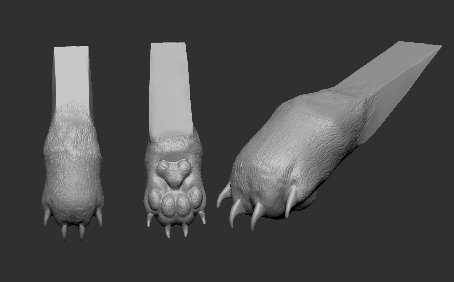 Cat Paw