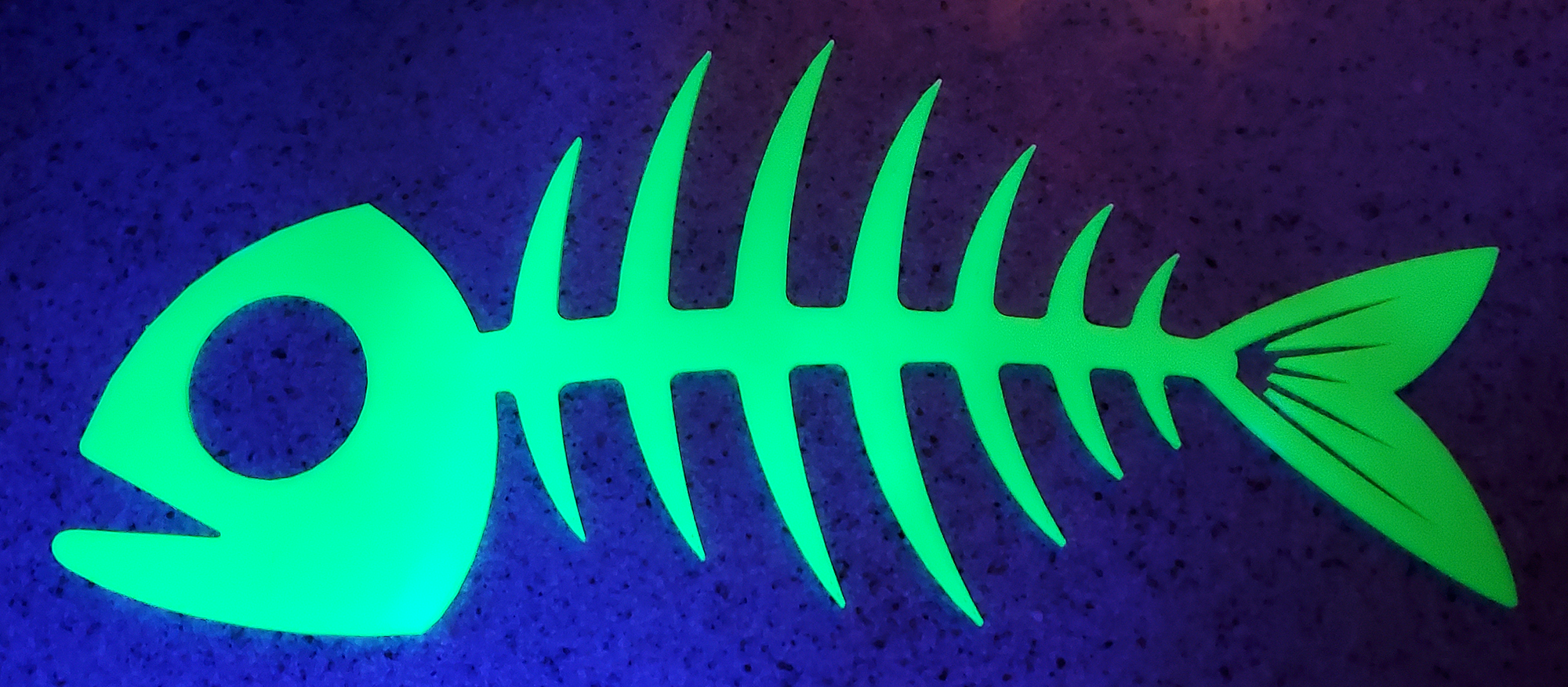 Bone Fish 2