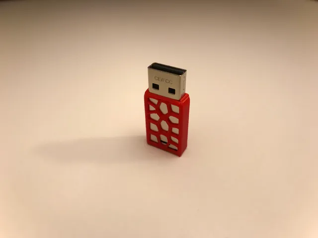 USB Flash Drive Case