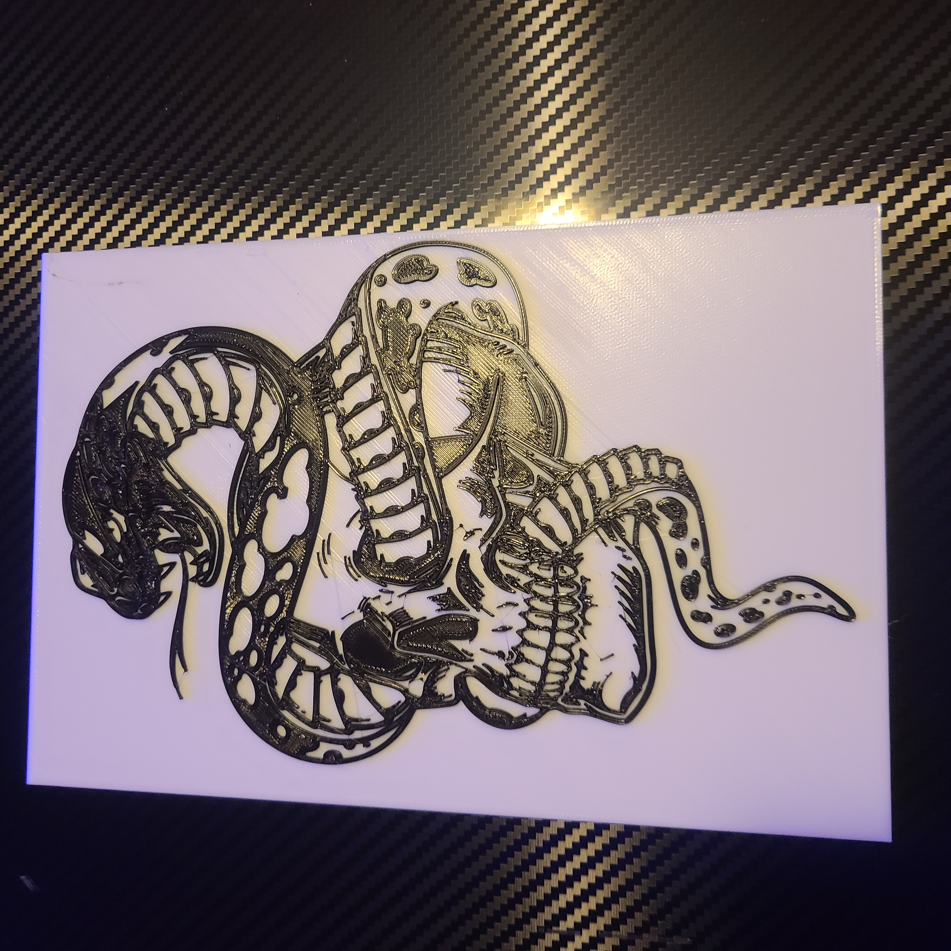 snake and skull