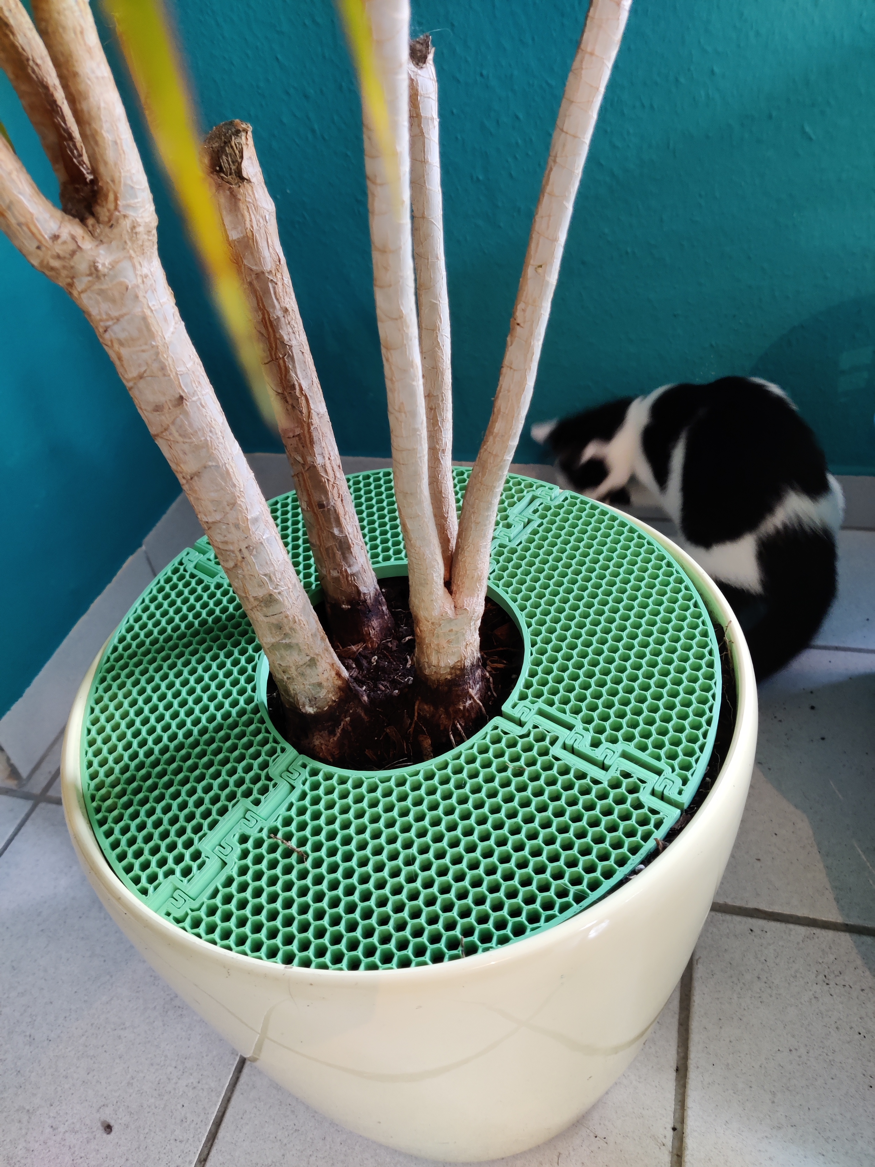 Anti Cat-Digging Device — miniatura 2