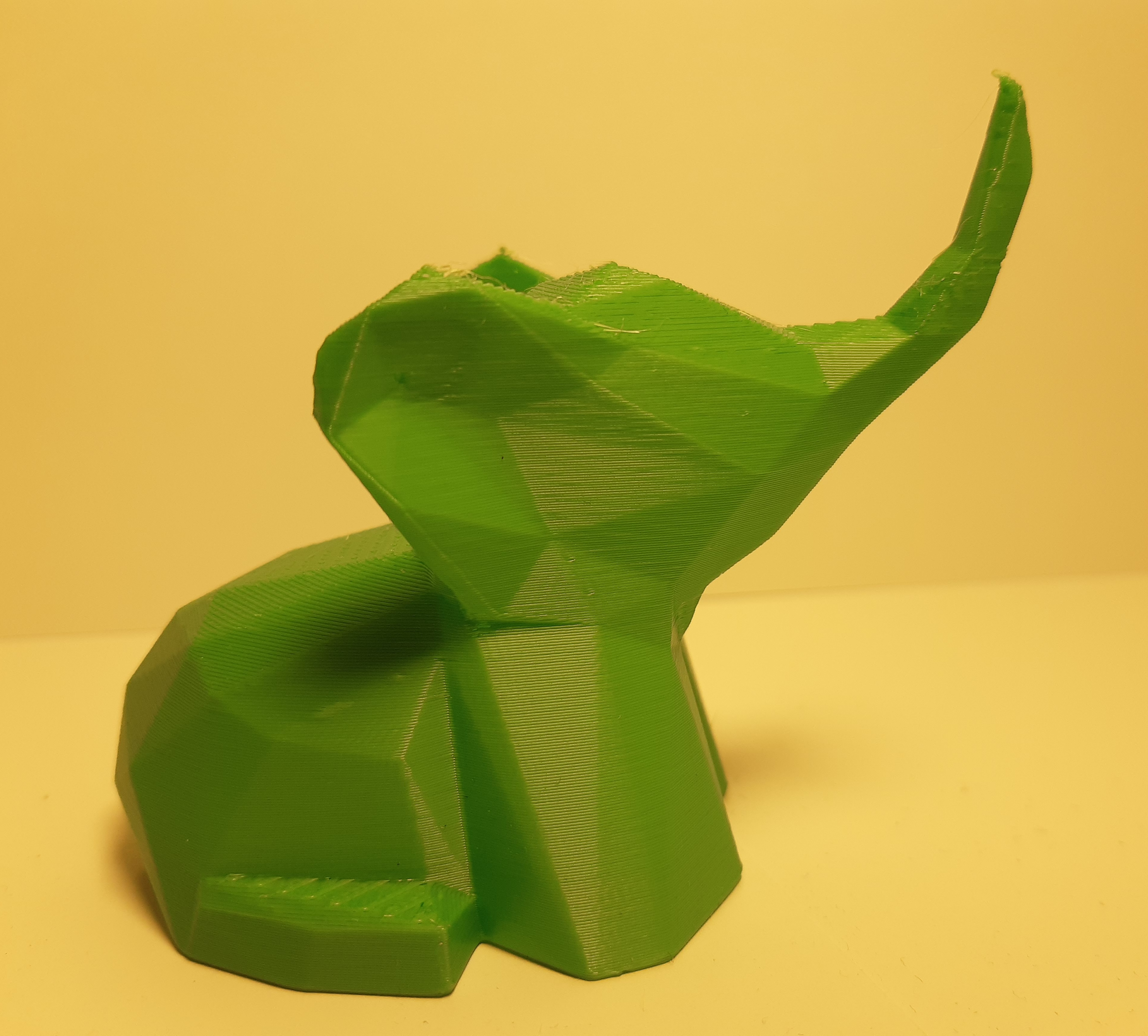 Miniatura 15 do modelo 3D Elephant