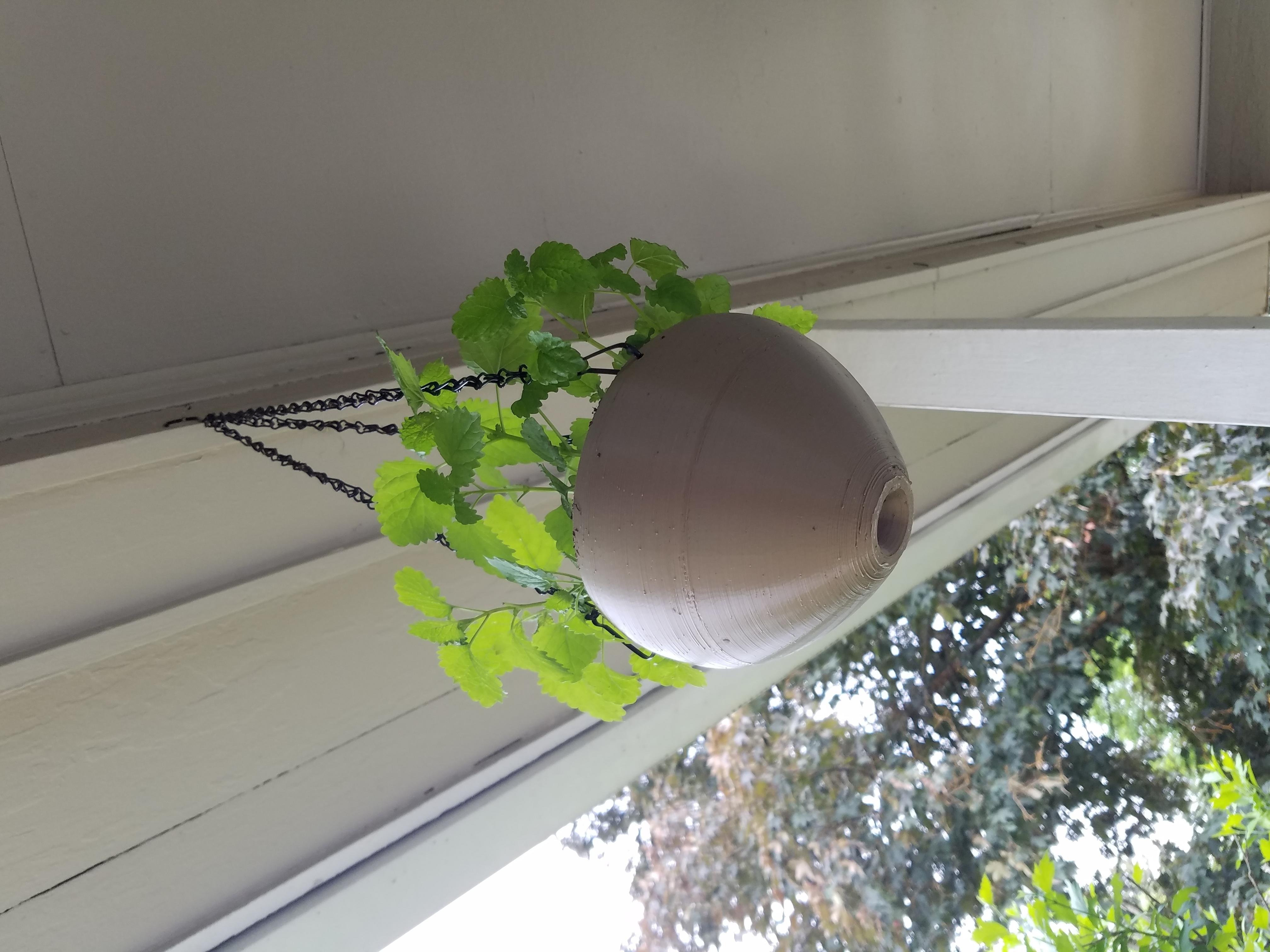 Hanging pot with reservoir
