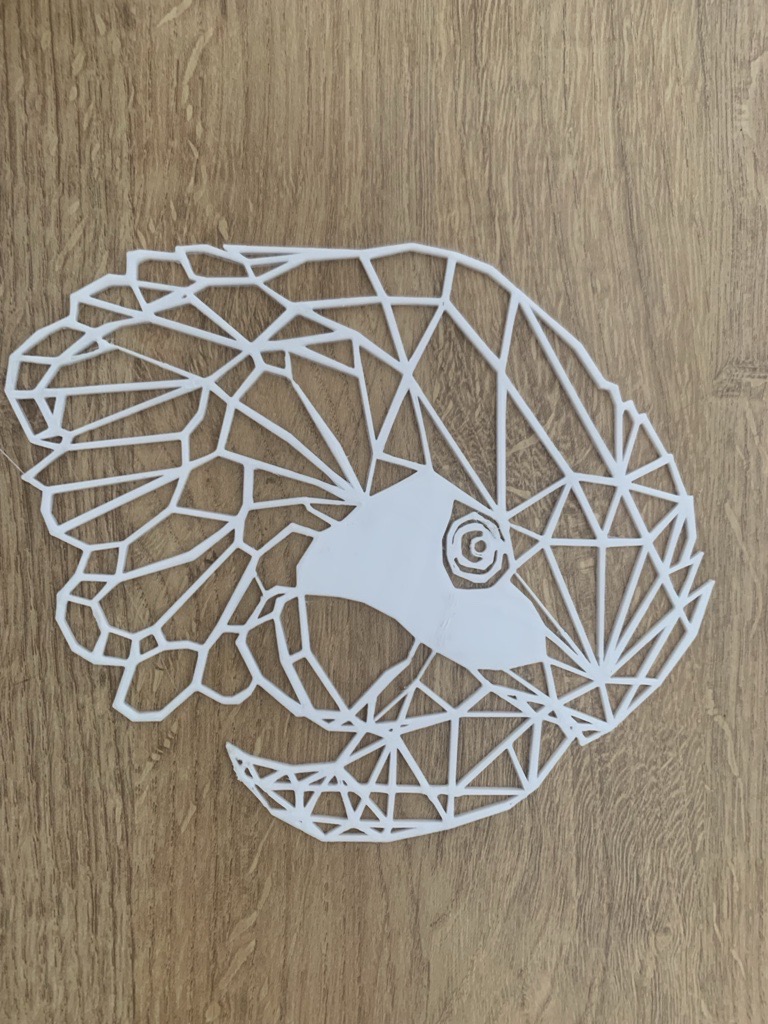 Geometric Parrot head / macaw head / Papagei / Ara