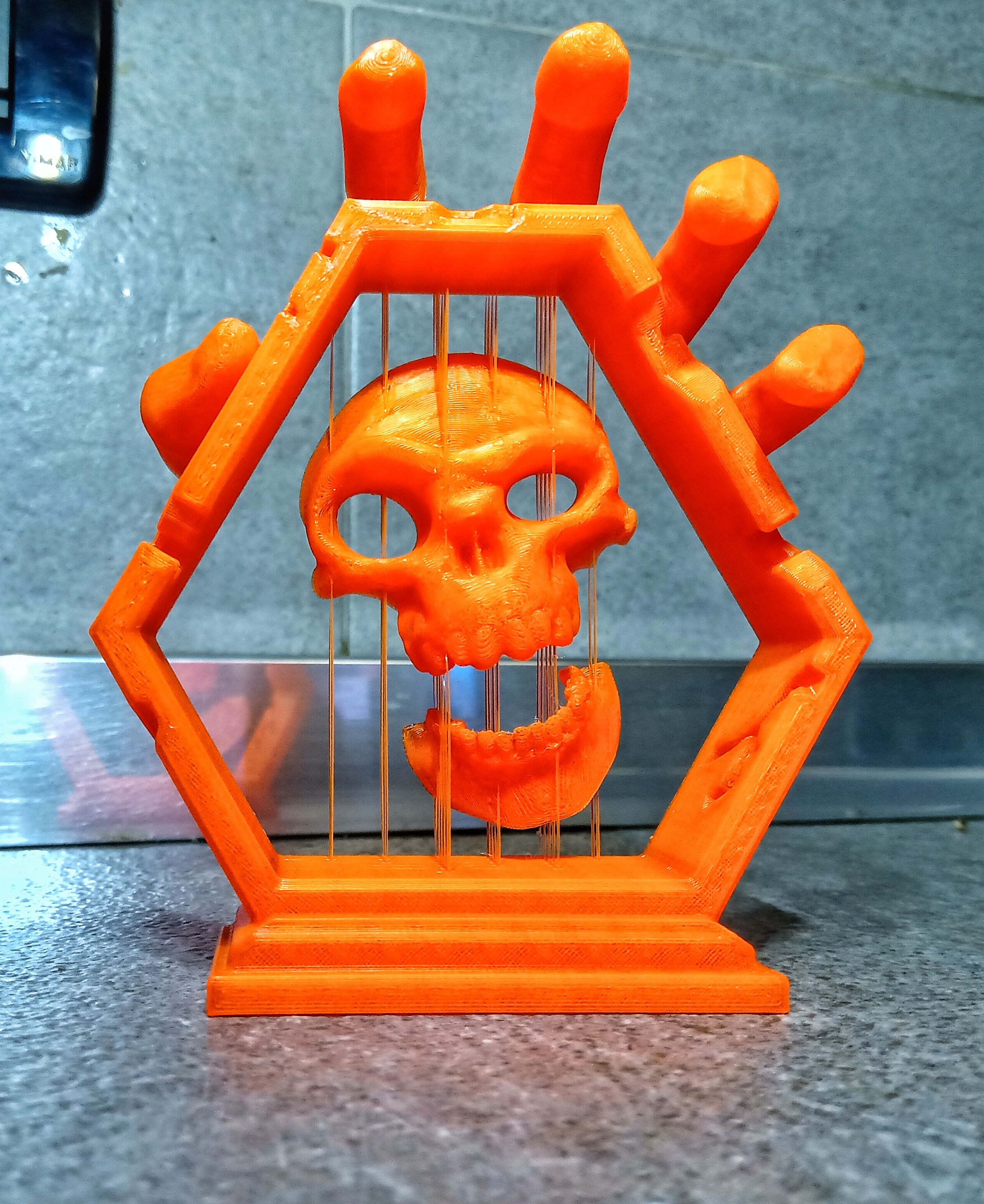 Skull suspended