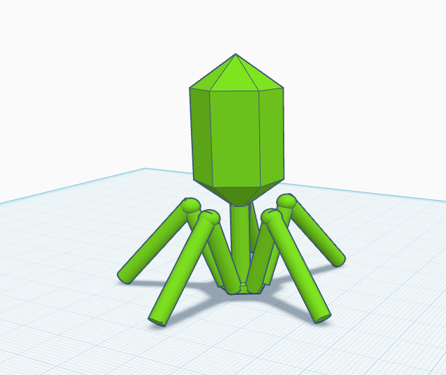 Virus (bacteriophage)