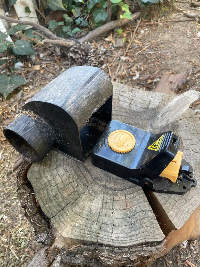 Rat Trap Tunnel by MikiCab Download free STL model