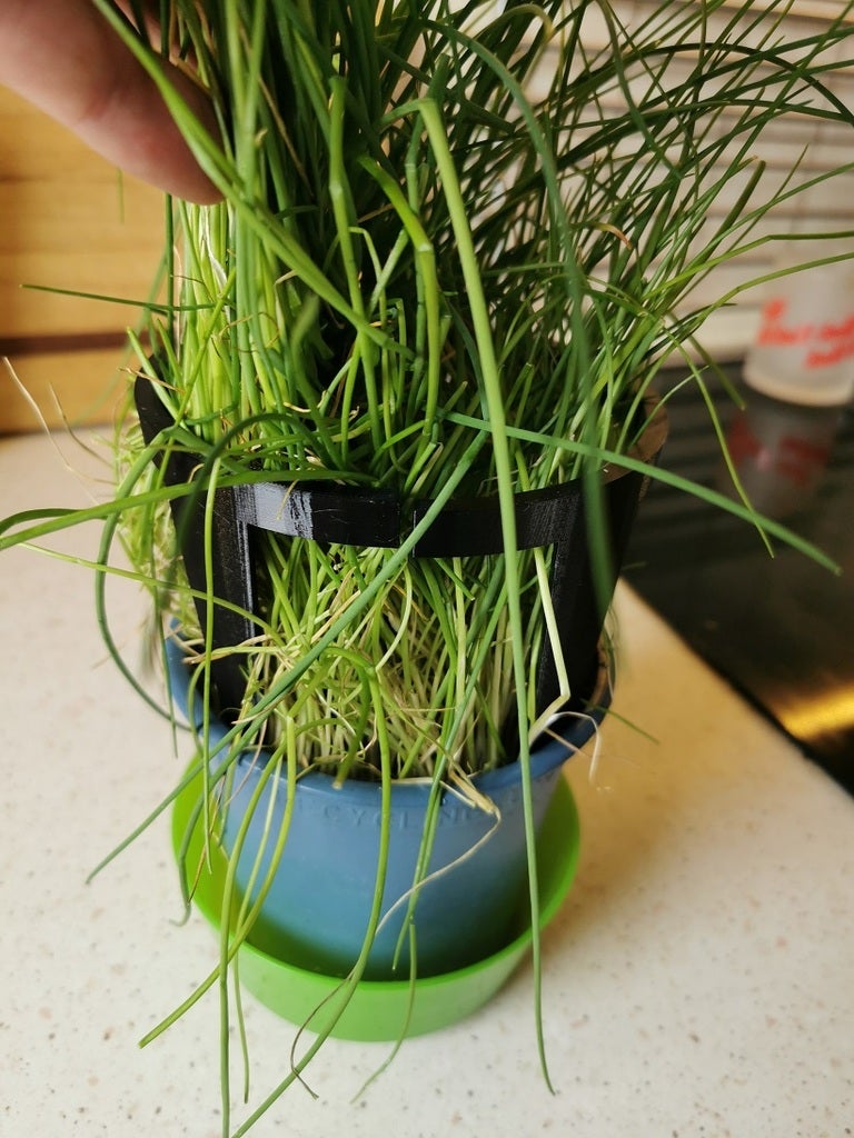 support for herbs — miniatura 2