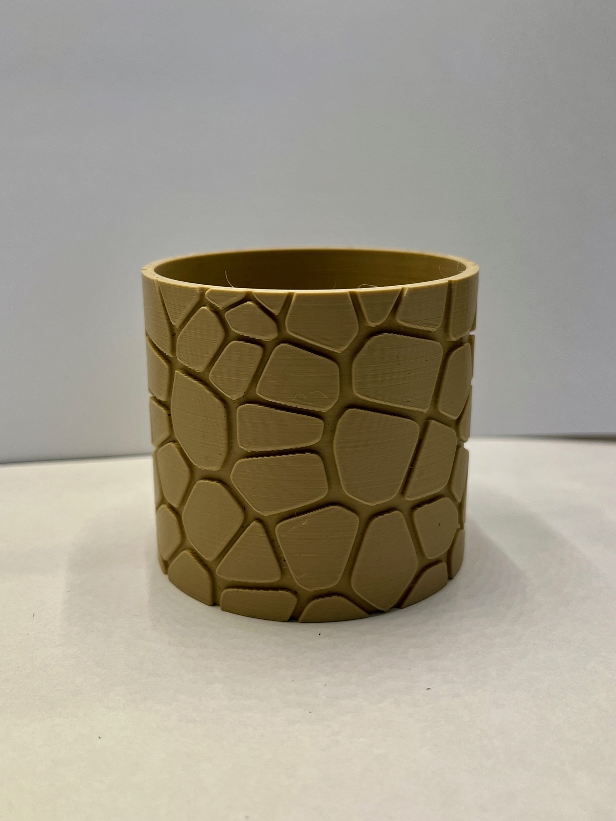 Voronoi plant pot