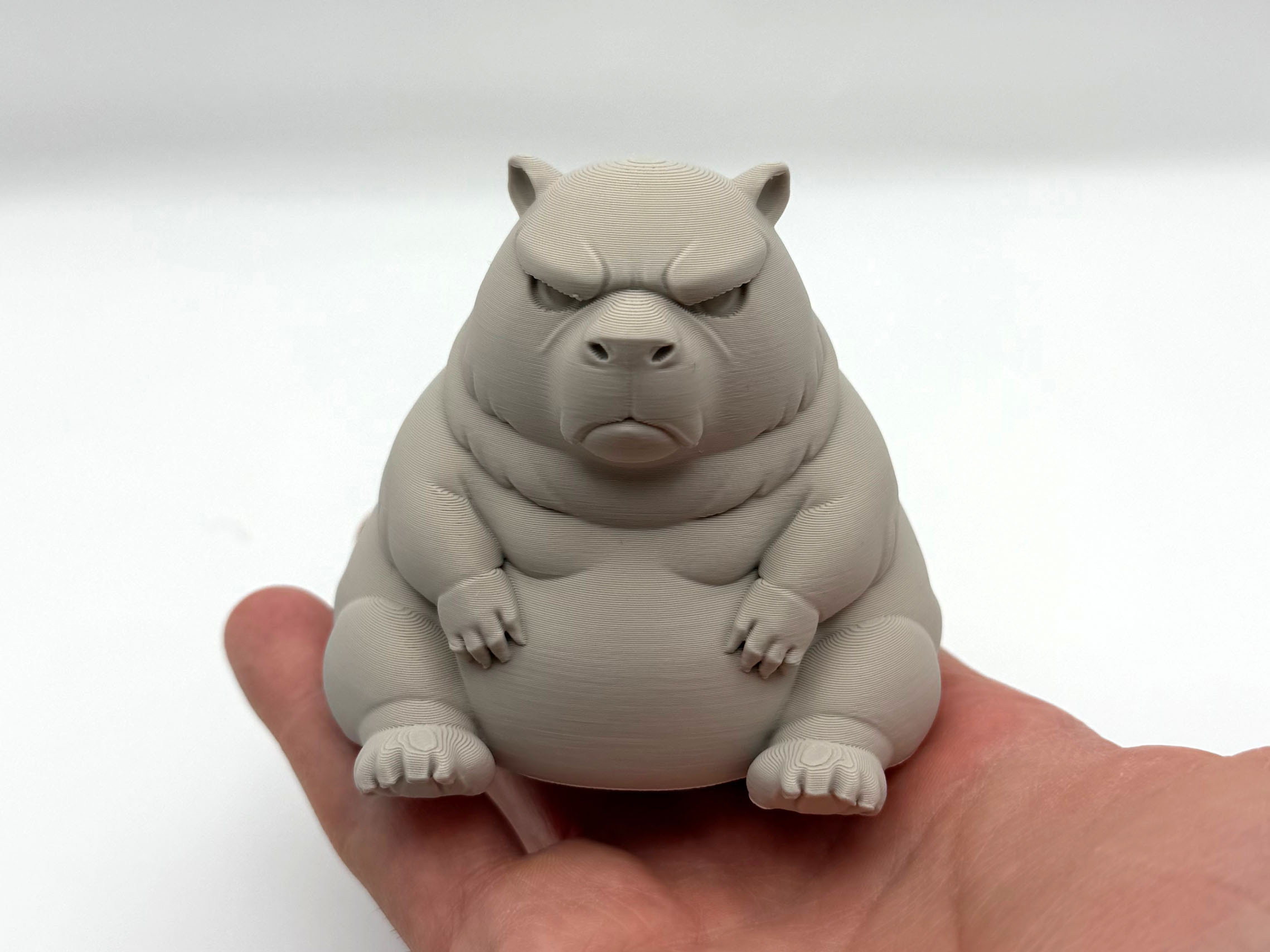 Chonky Grumpy Capybara