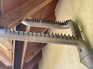 Anti Dove Spikes