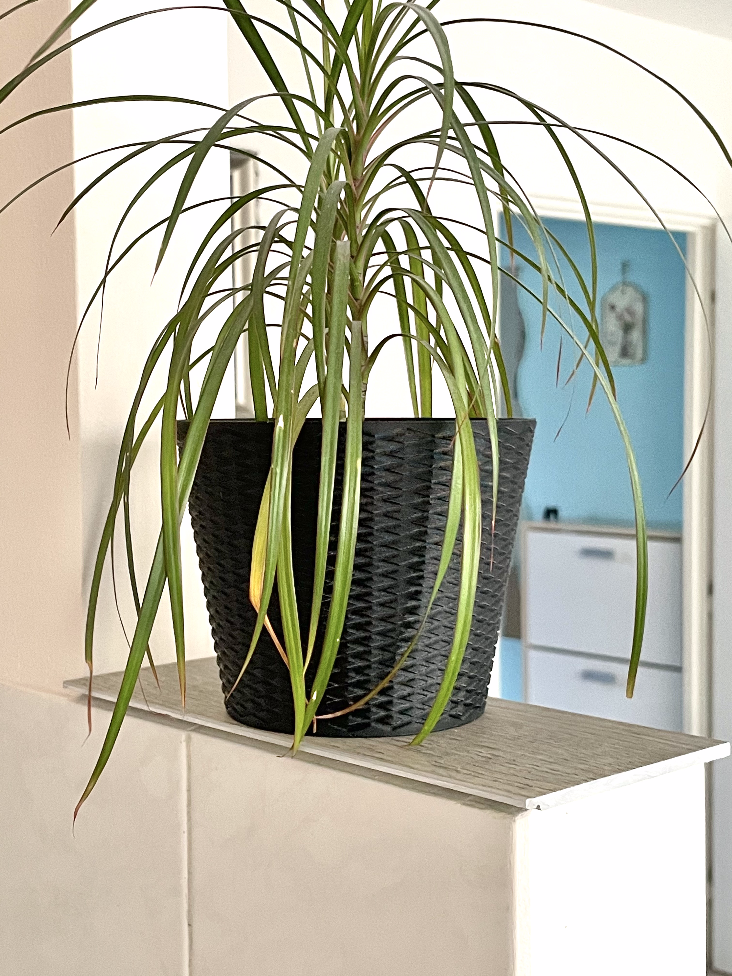 Flowerpot-Knurling texture — thumbnail 4