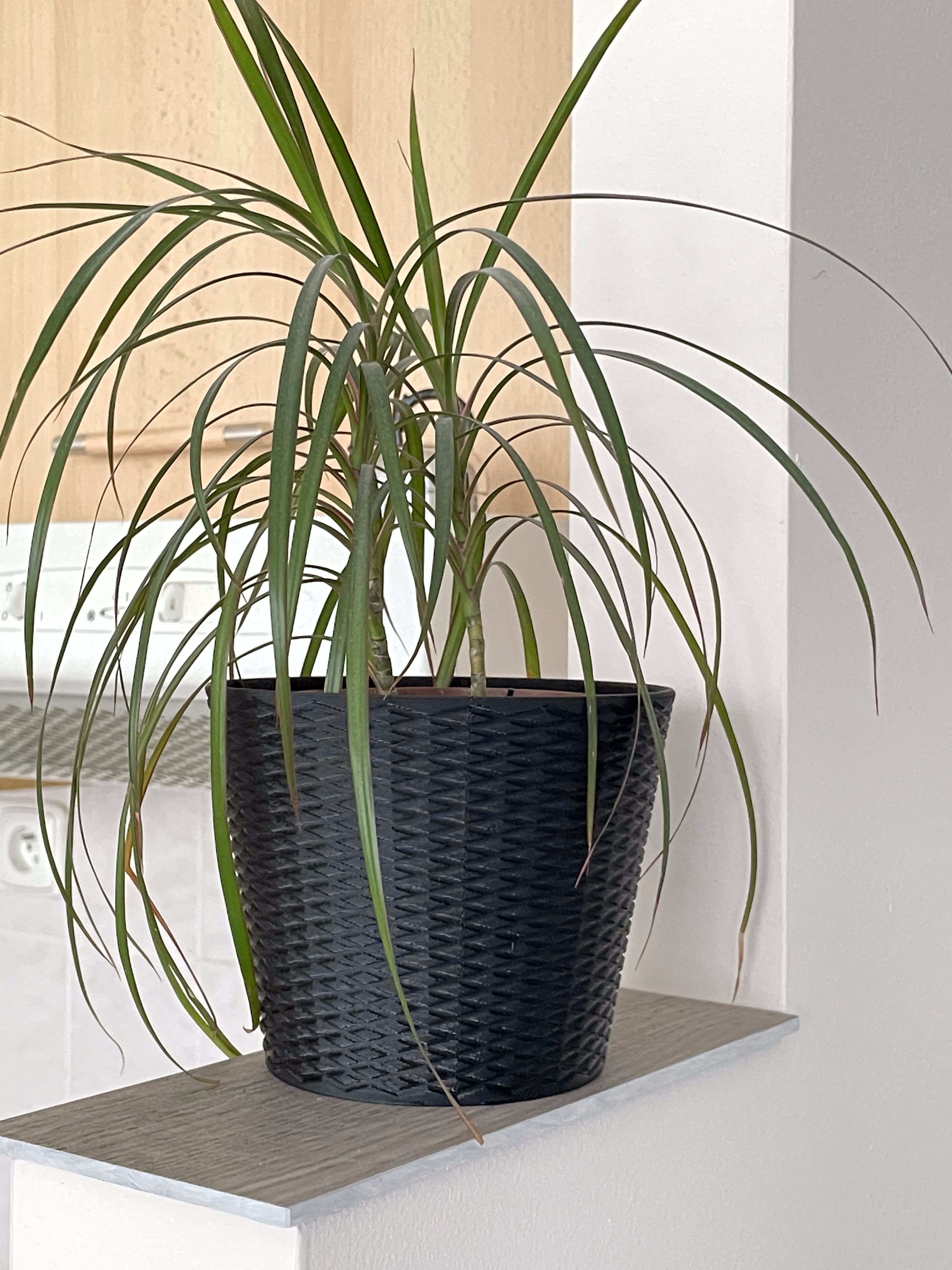 Flowerpot-Knurling texture — thumbnail 6