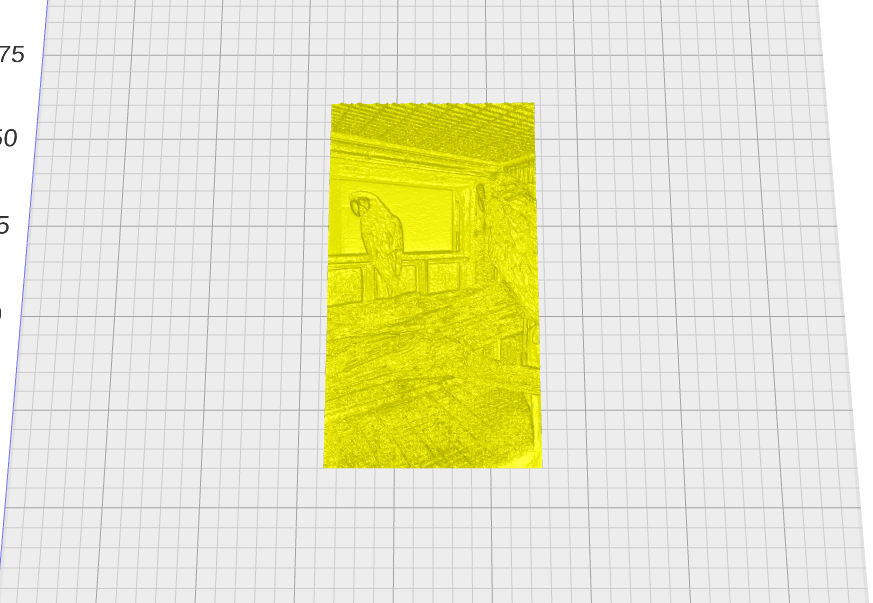 parrot lithophane