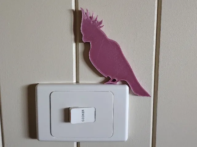 Helen Haines cockatoo