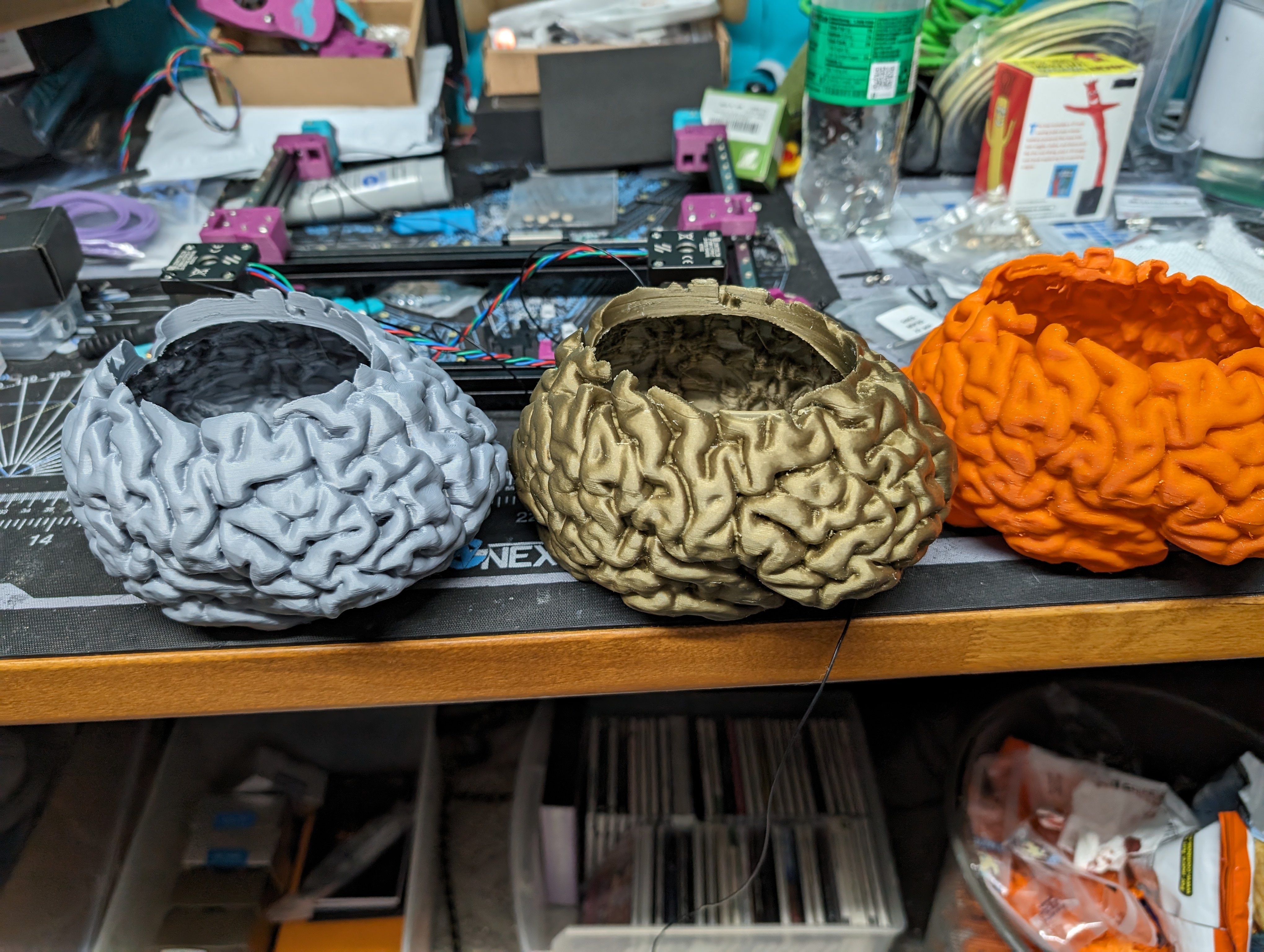 Brain Planter / Candy Dish
