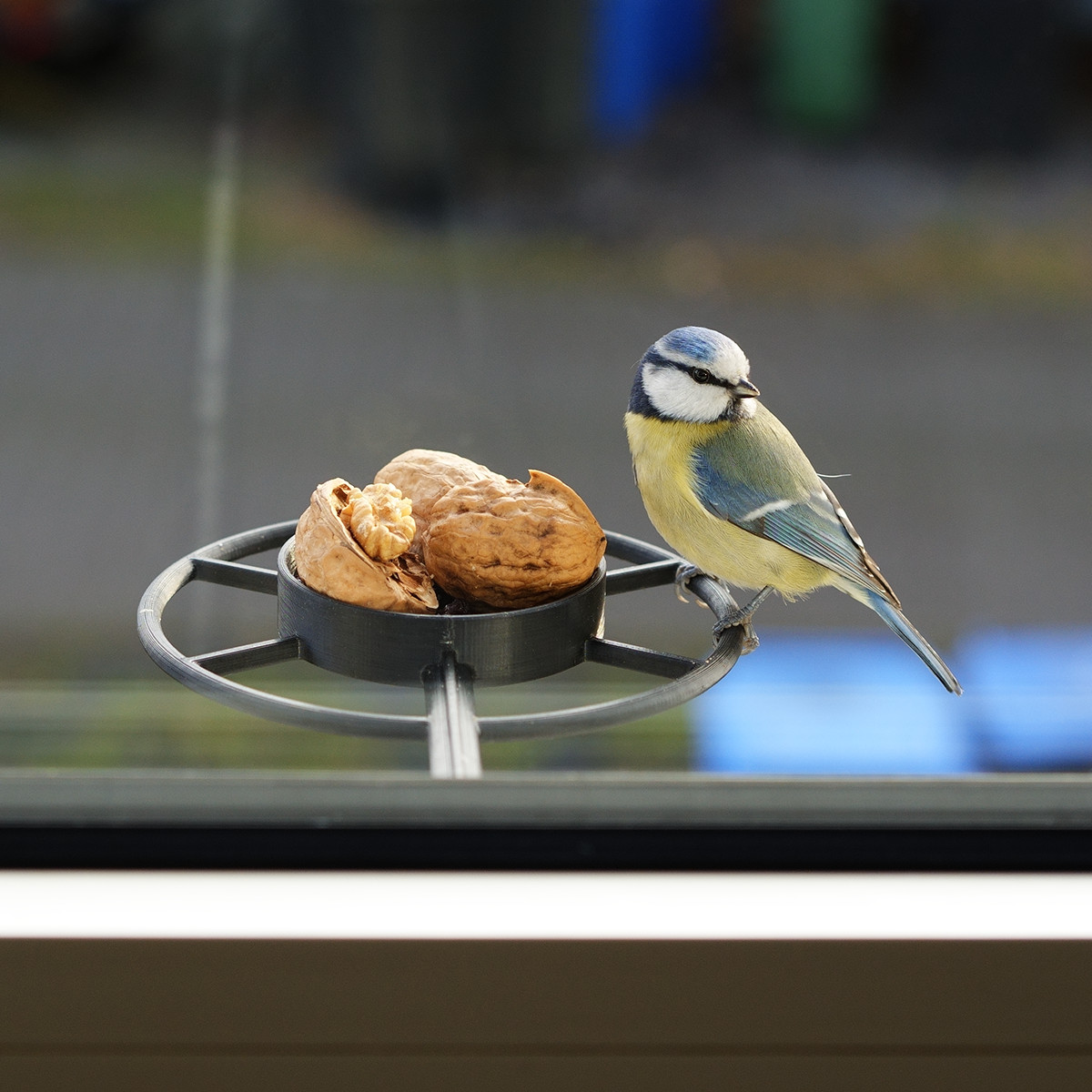 Window bird feeder