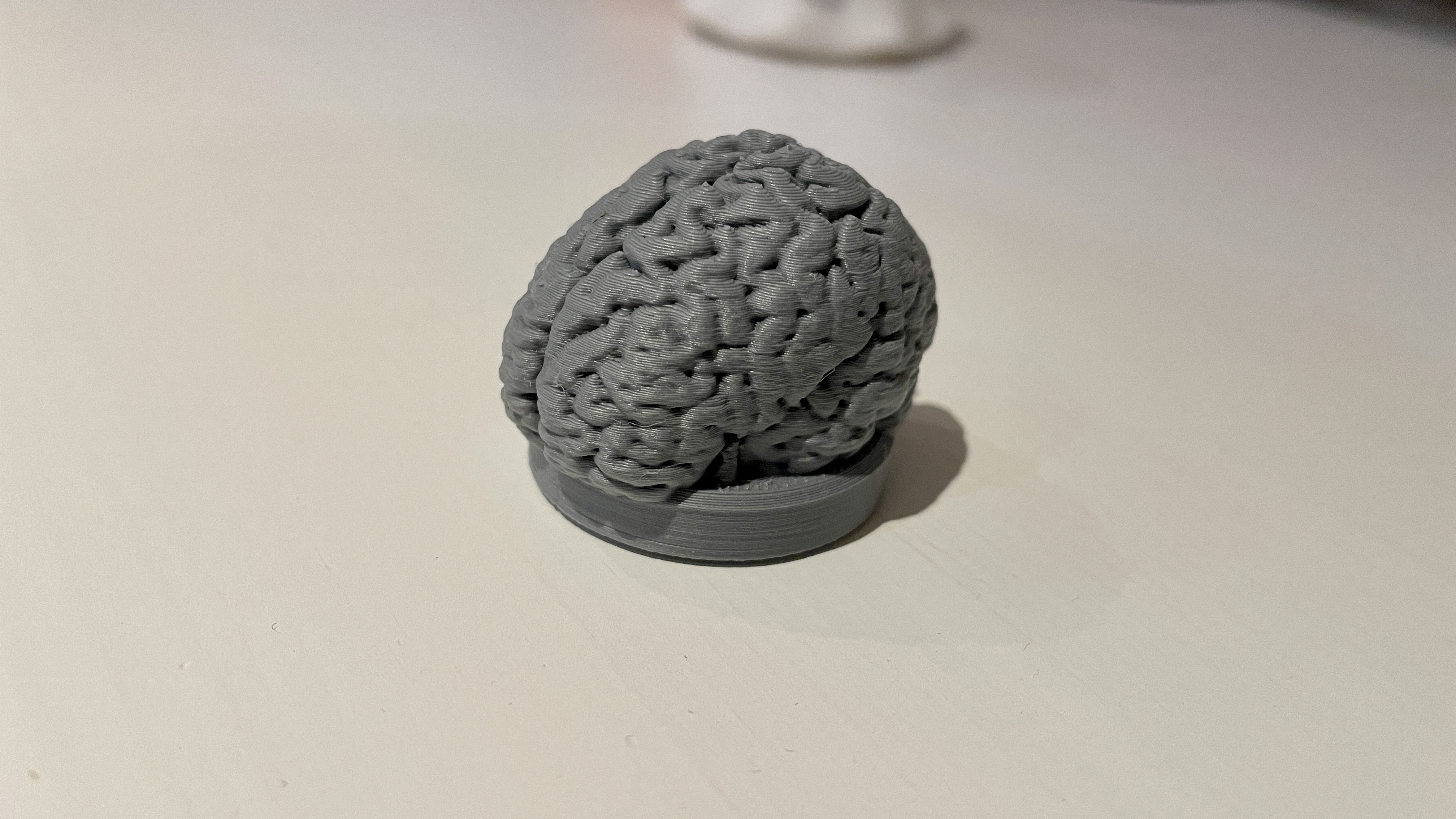 Brain / Gehirn Magnet