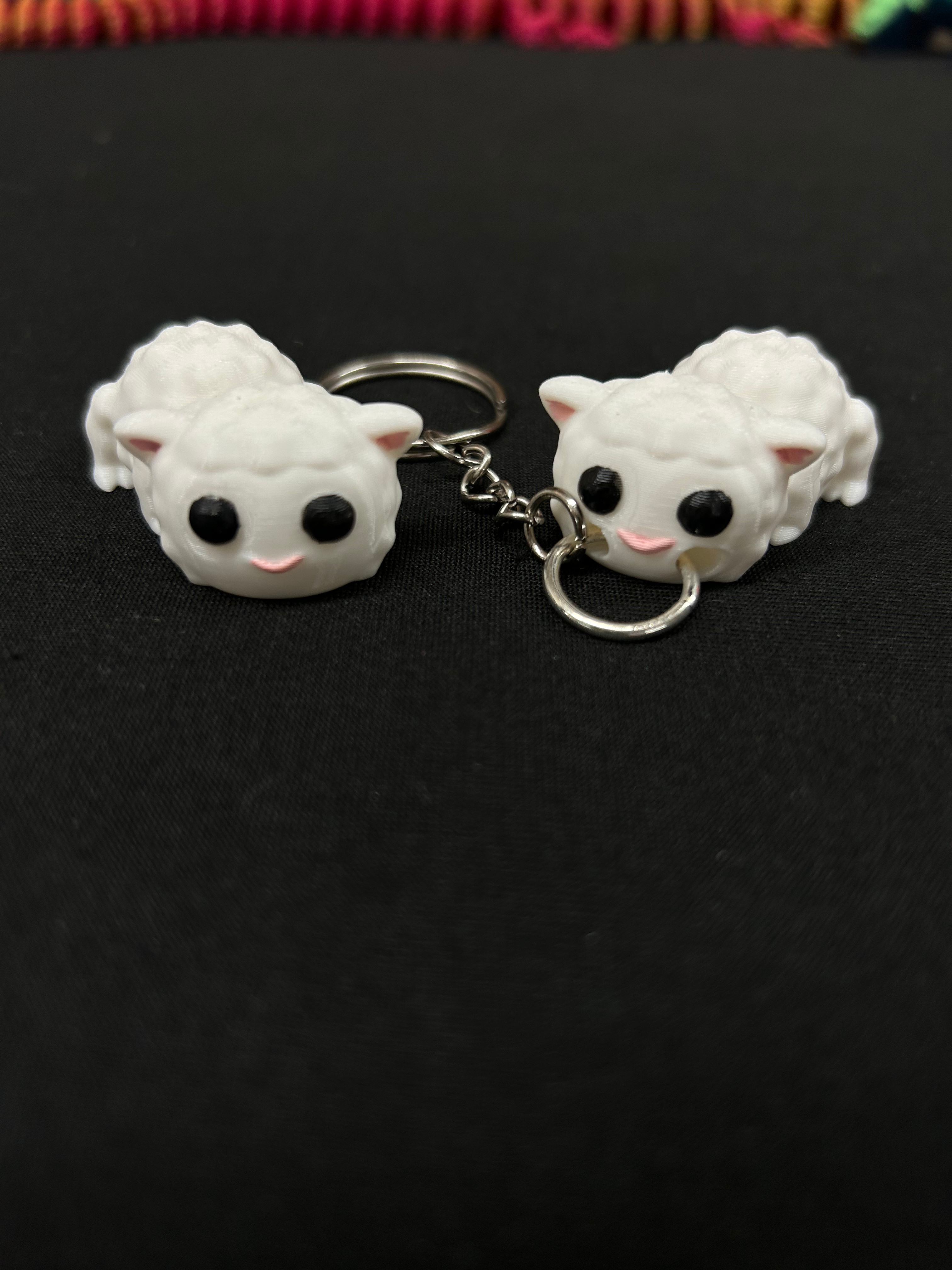 Sheep