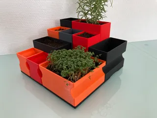 Hydroponic, Self-Watering, Seeds starter, Robert Planters by Estudio Aditivo, Download free STL model