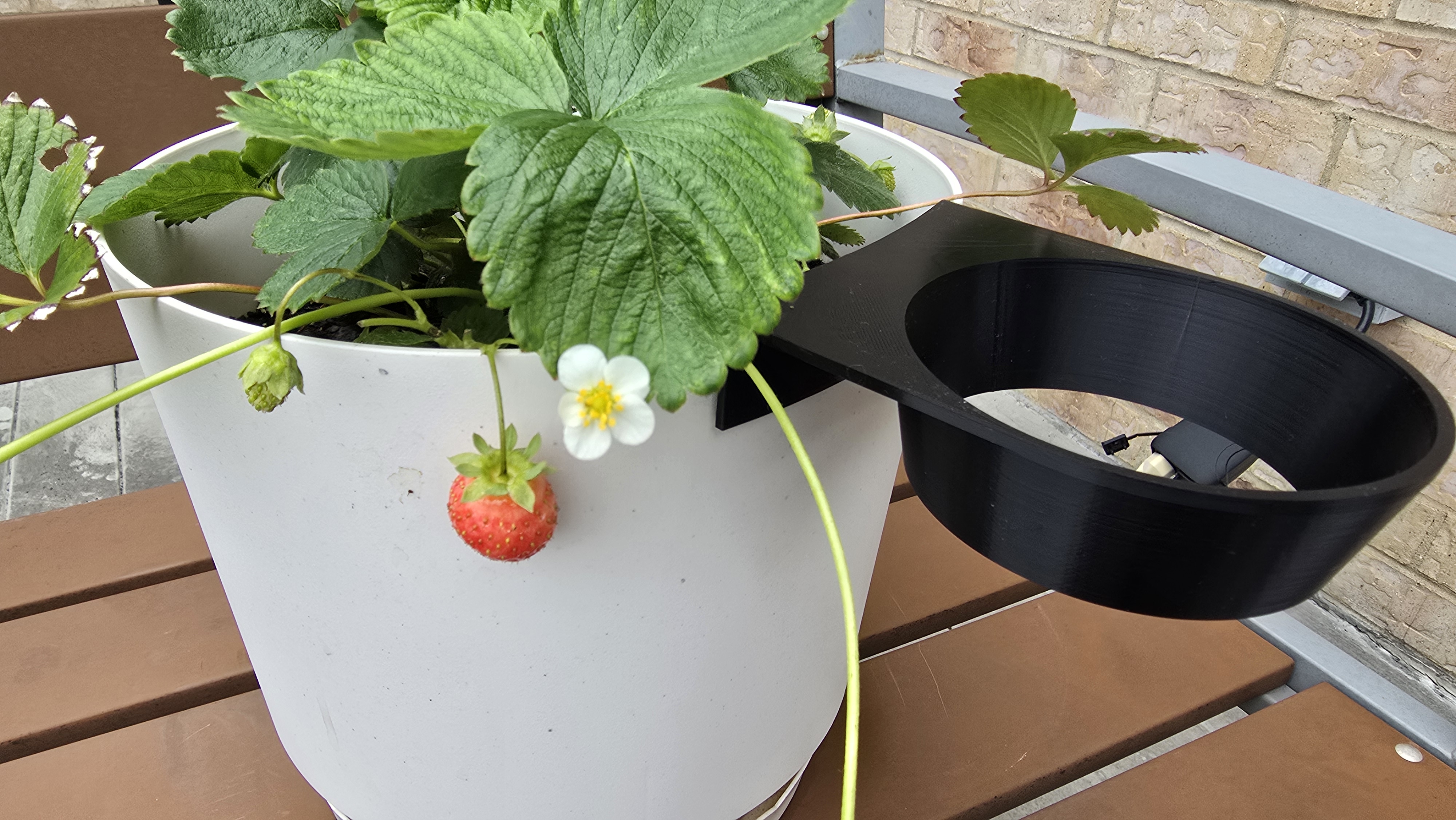 Planter sidecar for strawberry runners