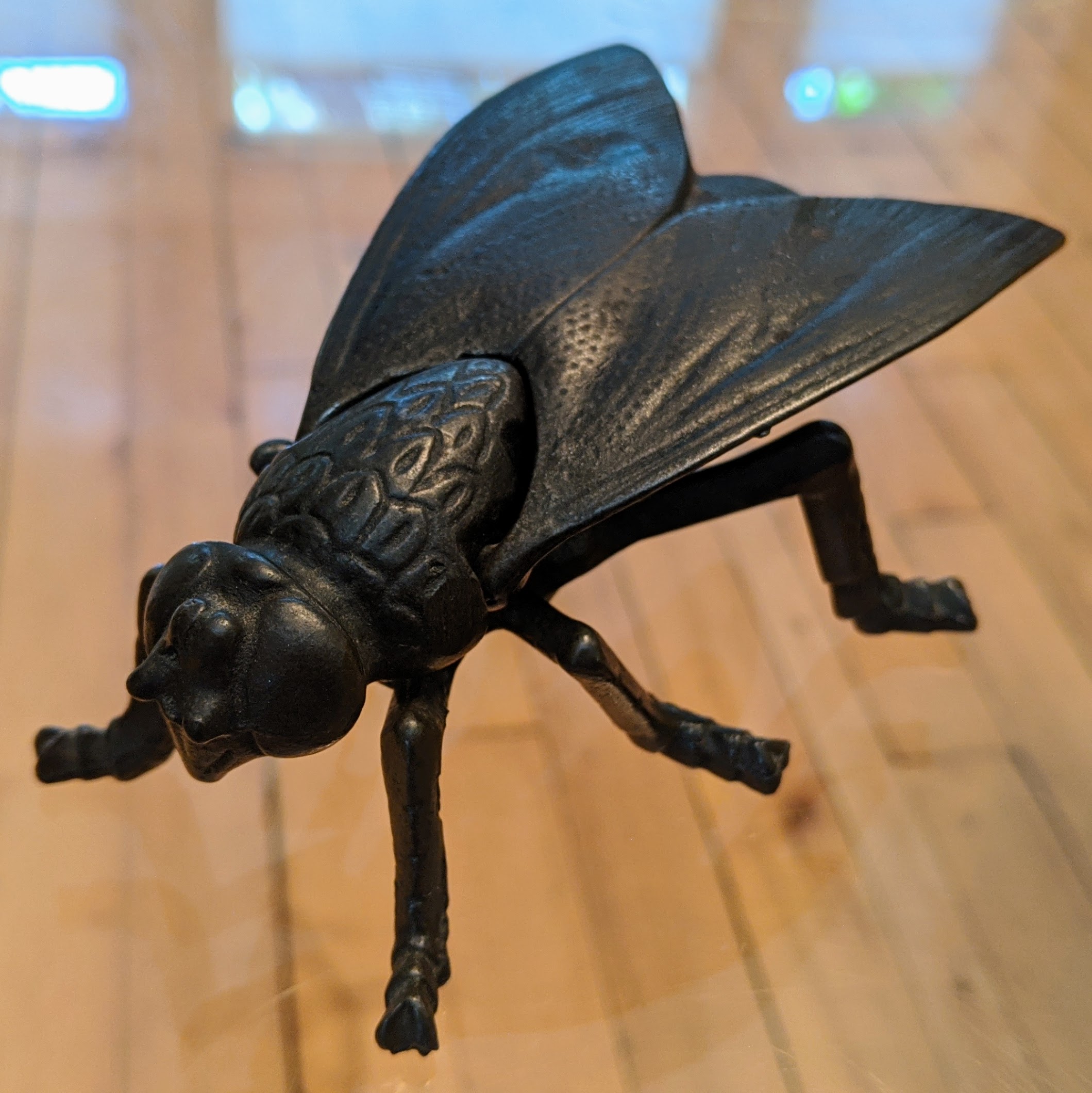 Miniatura 2 do modelo 3D The Fly