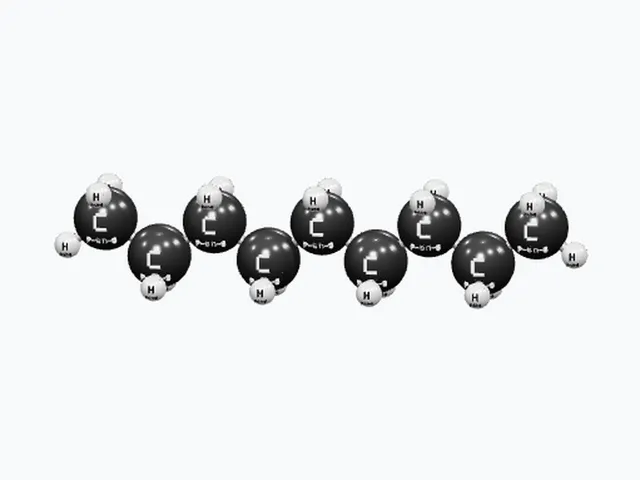 Customizable Nonane (C9H20) - Labeled 3D Molecule Model