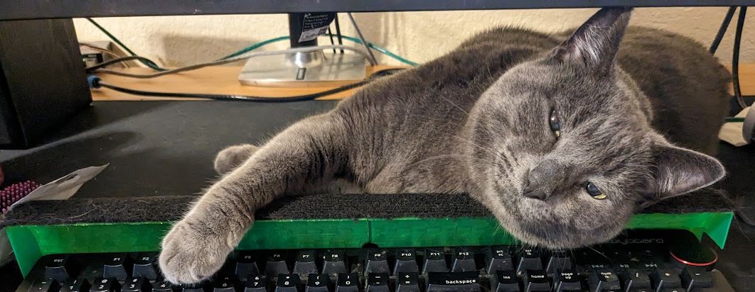 Cat Keyboard Guard [UNFINISHED]