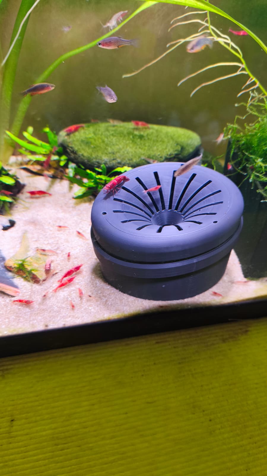 Aquarium Shrimp Trap