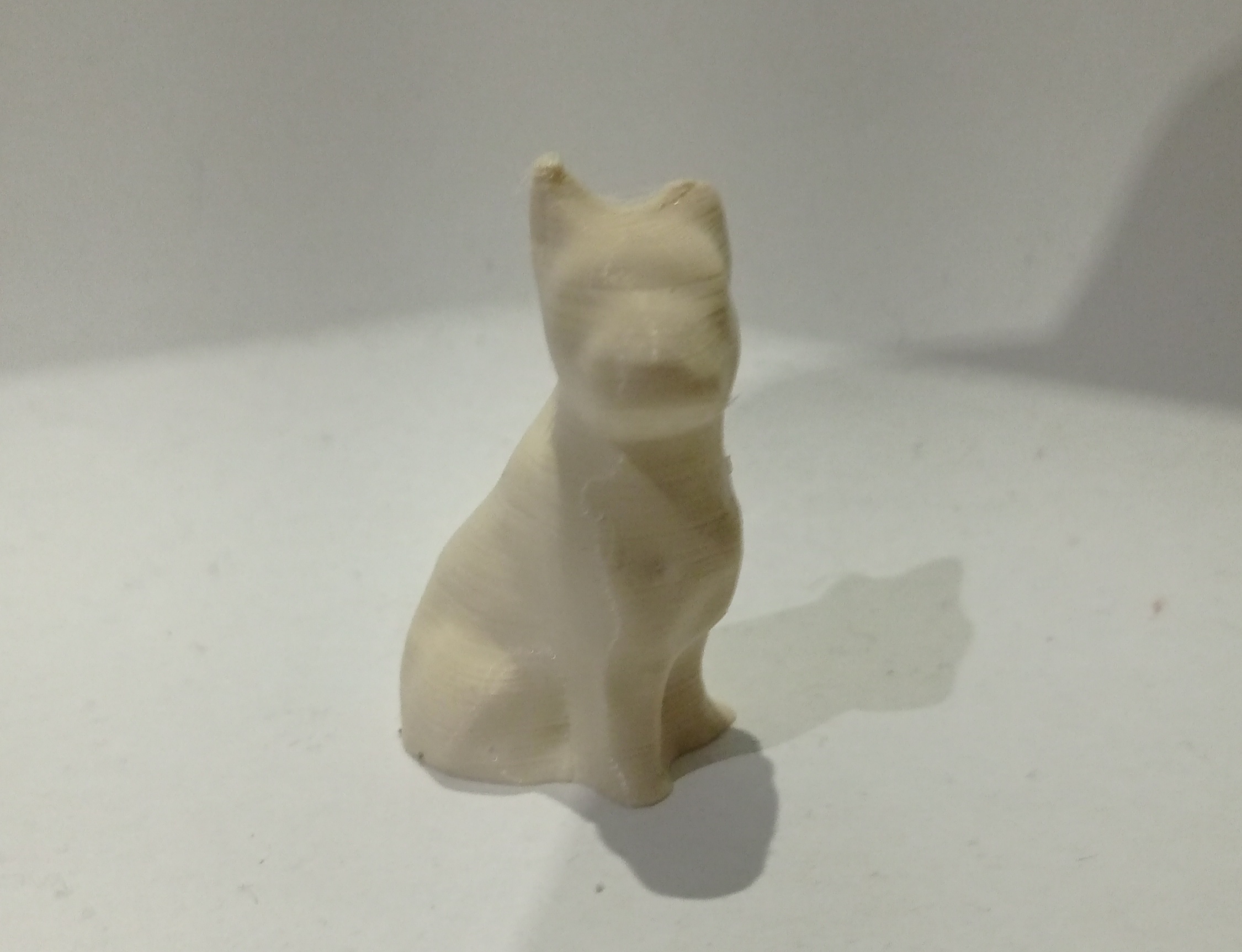 Doggy