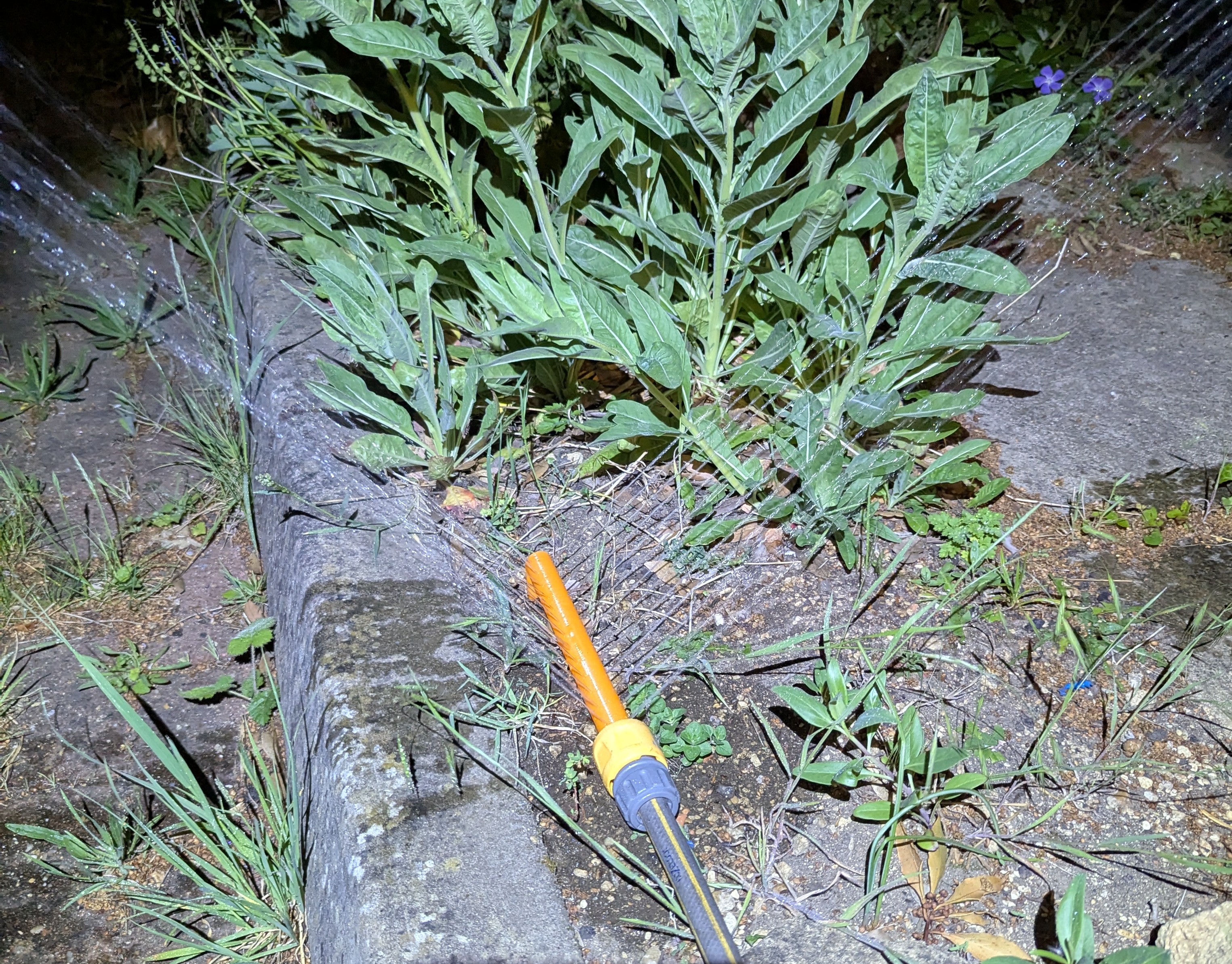 Minimalist Sprinkler