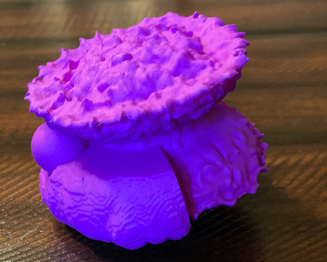Supernova