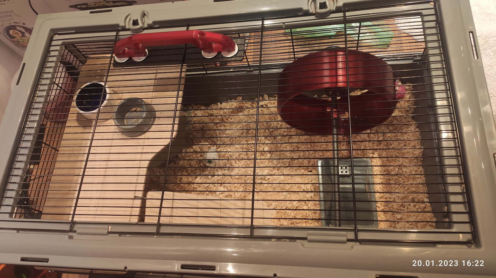 AR Big hamster wheel with ball bearings by aroo Download free STL