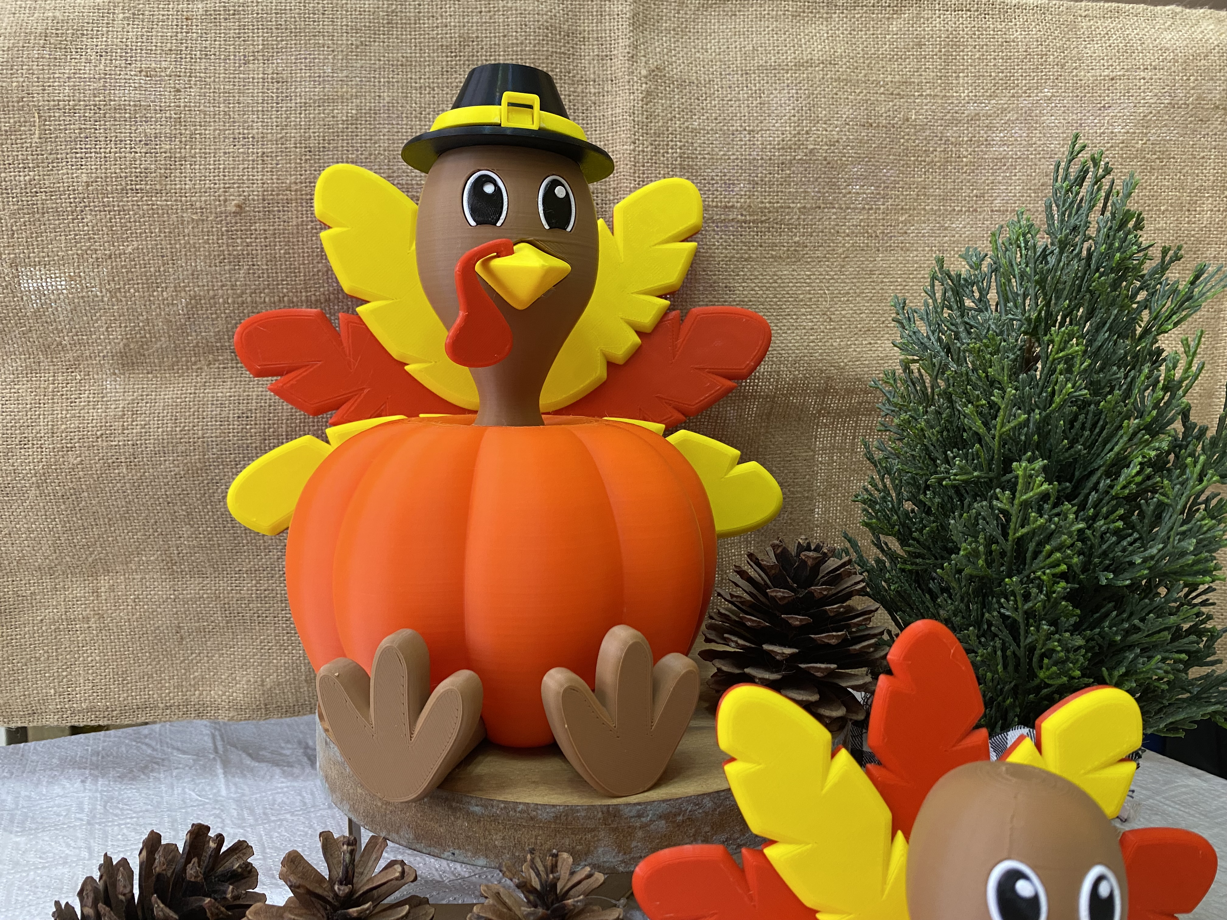 "Tom-Tom" the pumpkin turkey