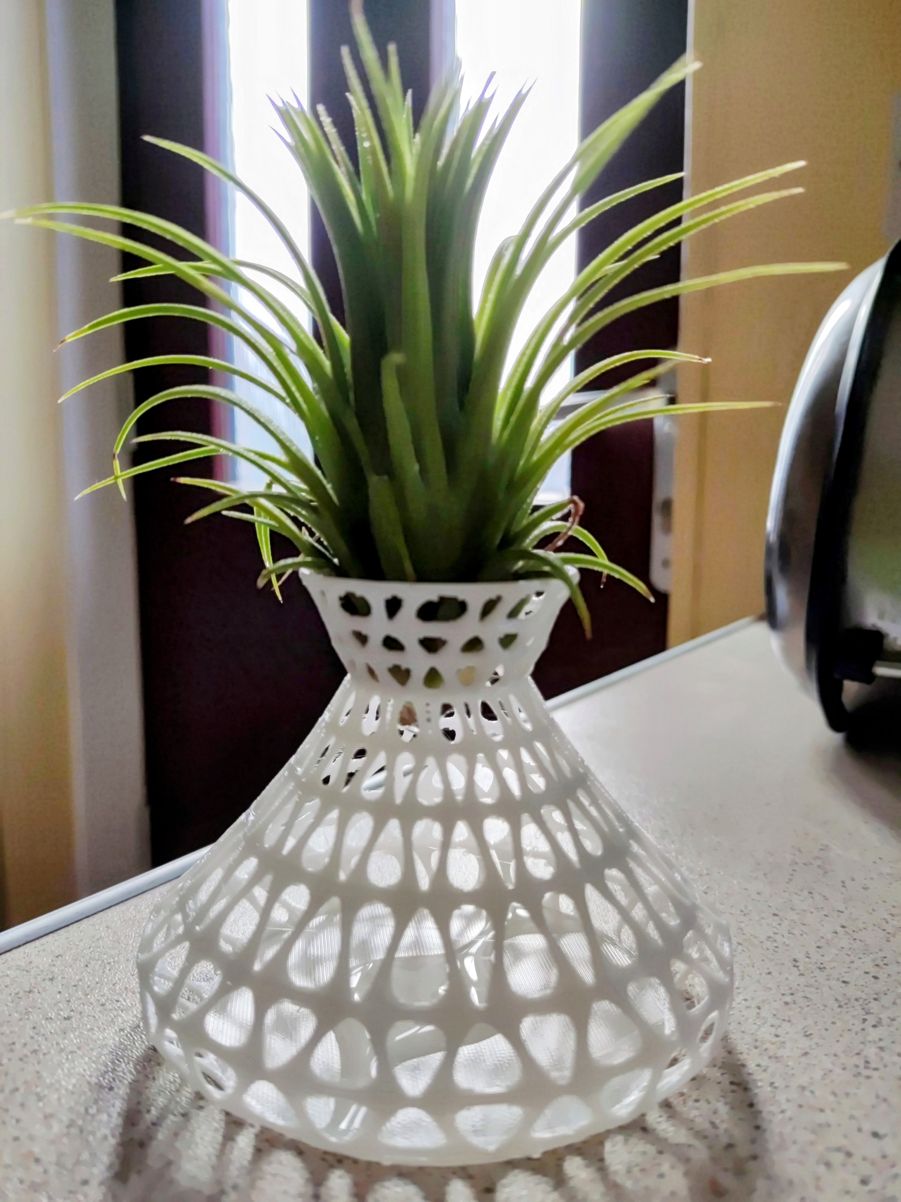 Air Plant Vase by commodorium Download free STL model