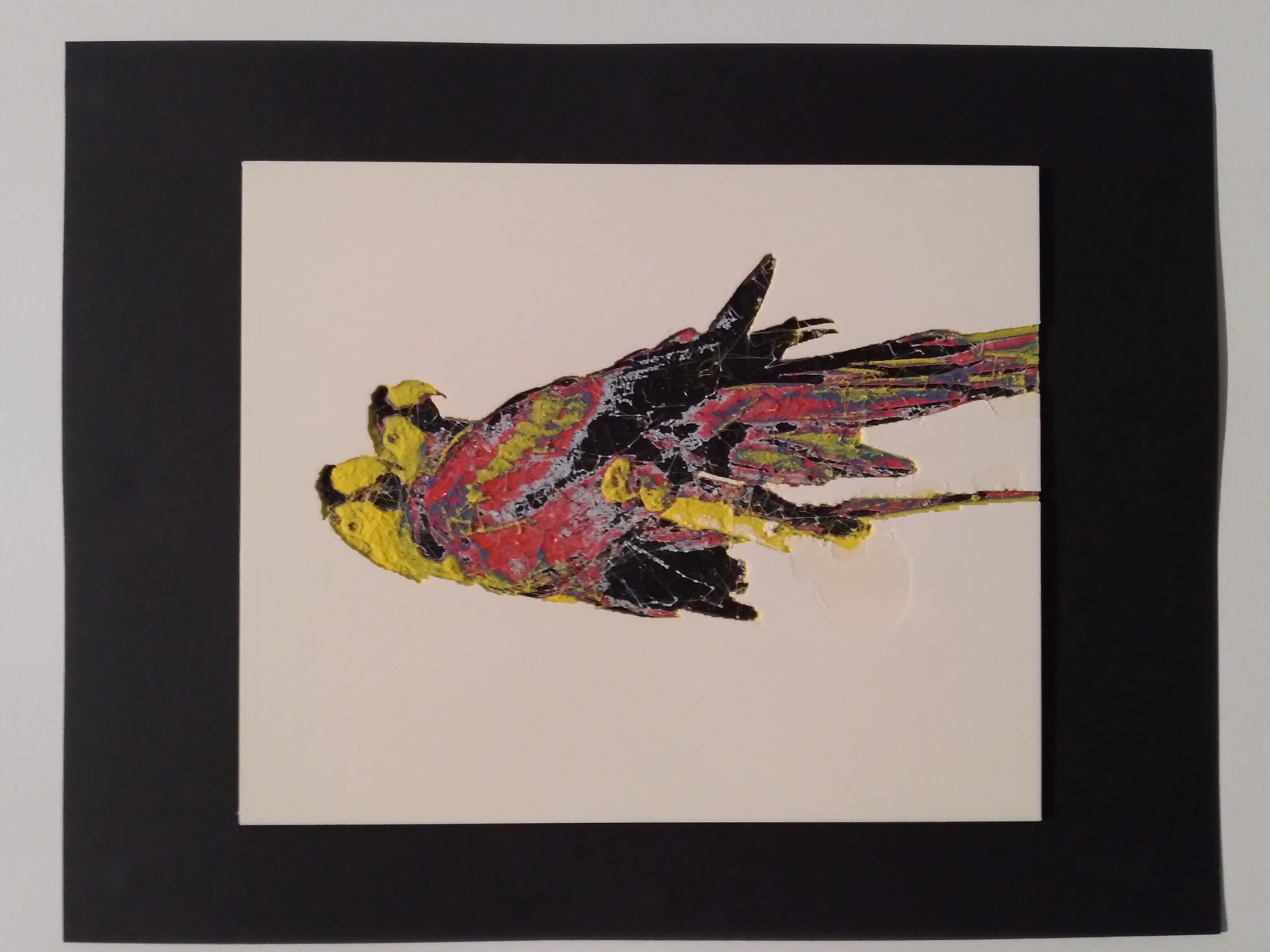 2 parrots