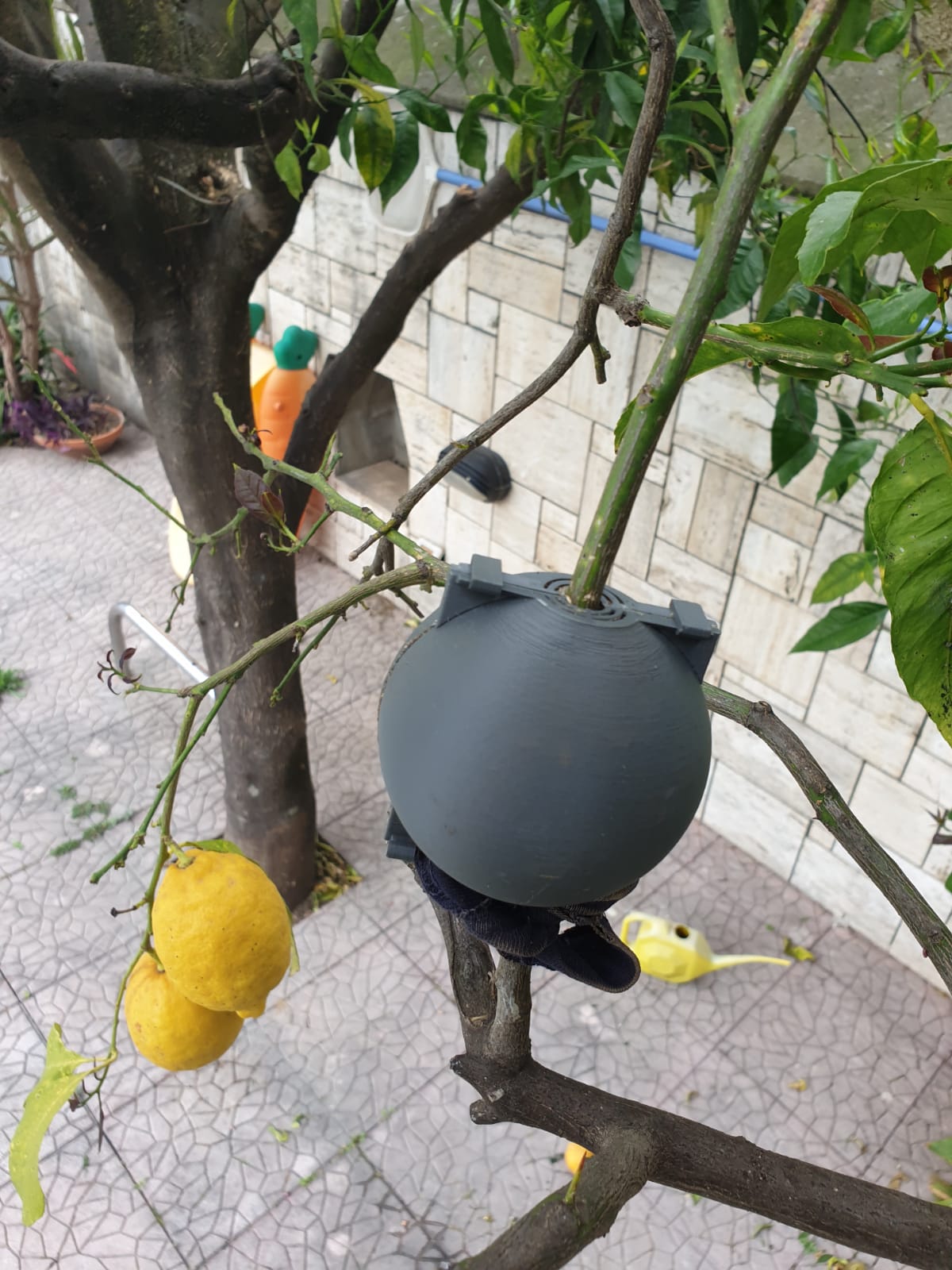 Plant Rooting Ball by MaOl Download free STL model