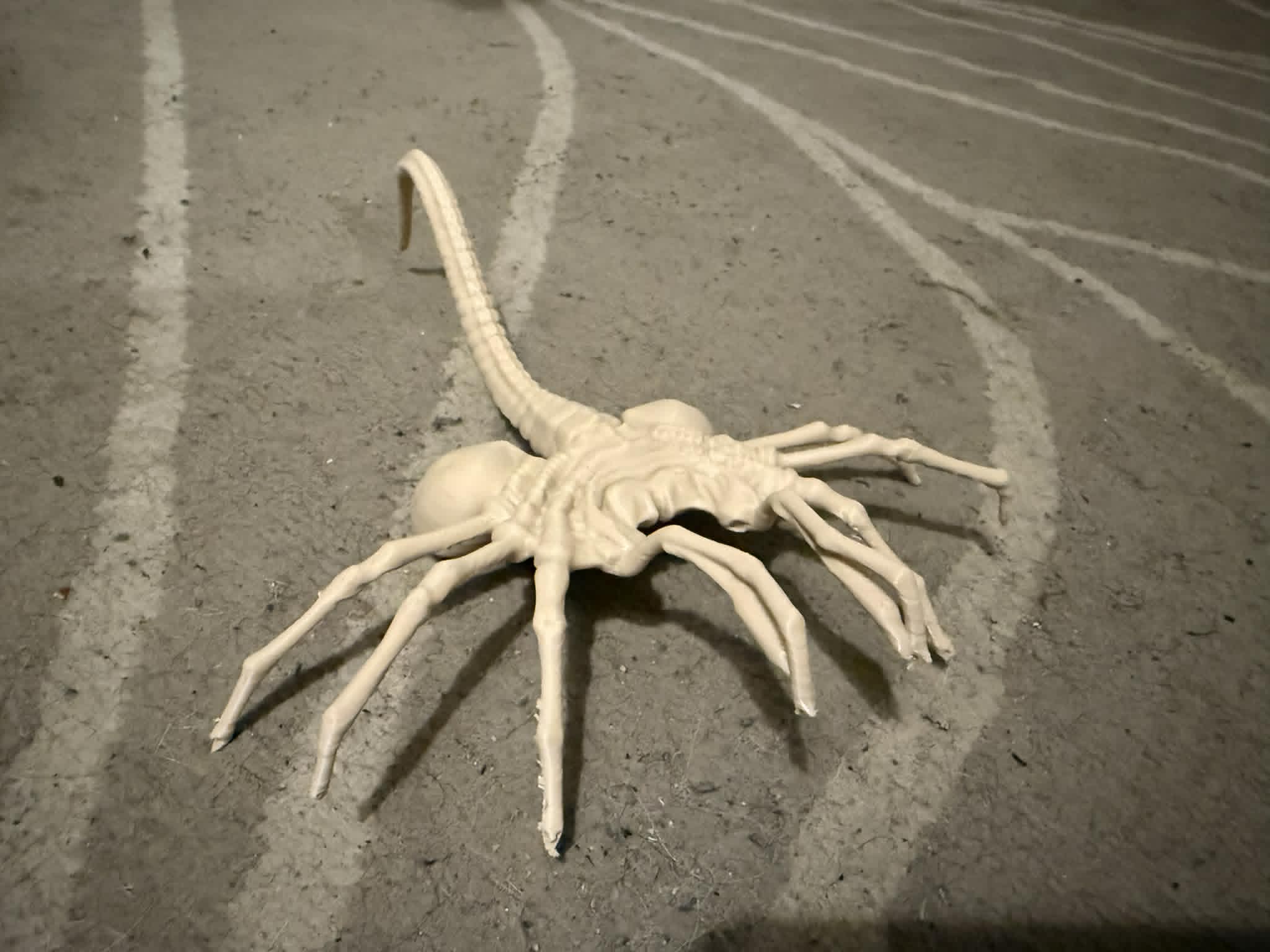 Miniatura 2 do modelo 3D Alien Facehugger