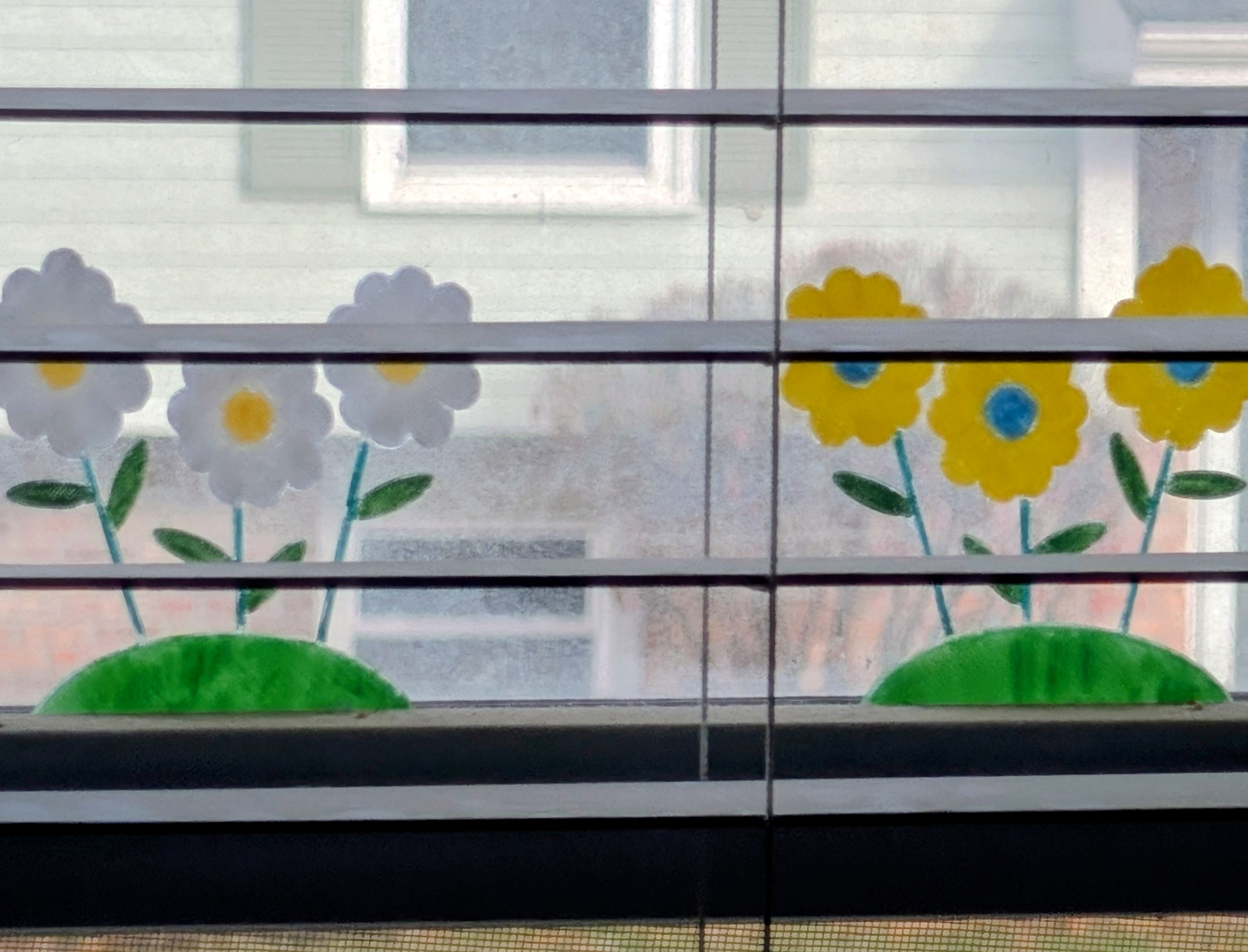 Window Flowers