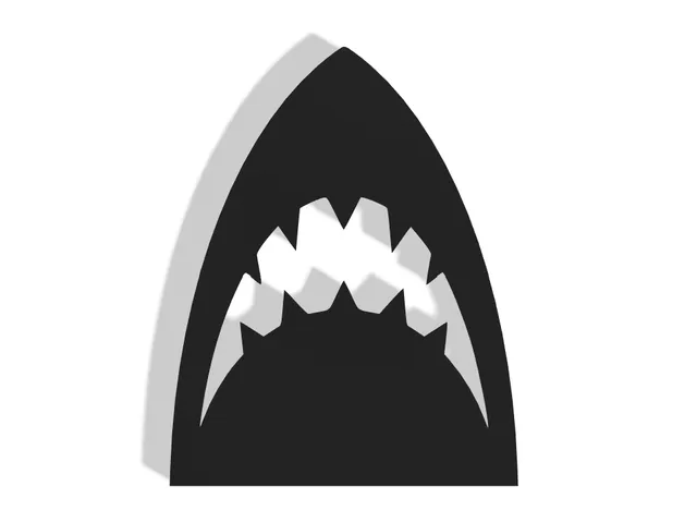 Shark Decor