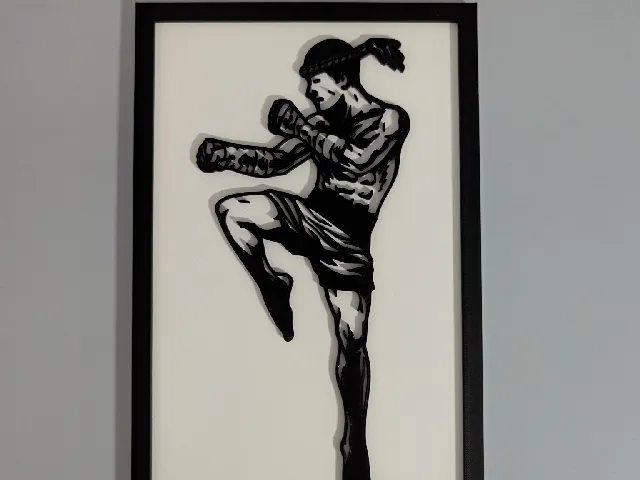 the Muay thai