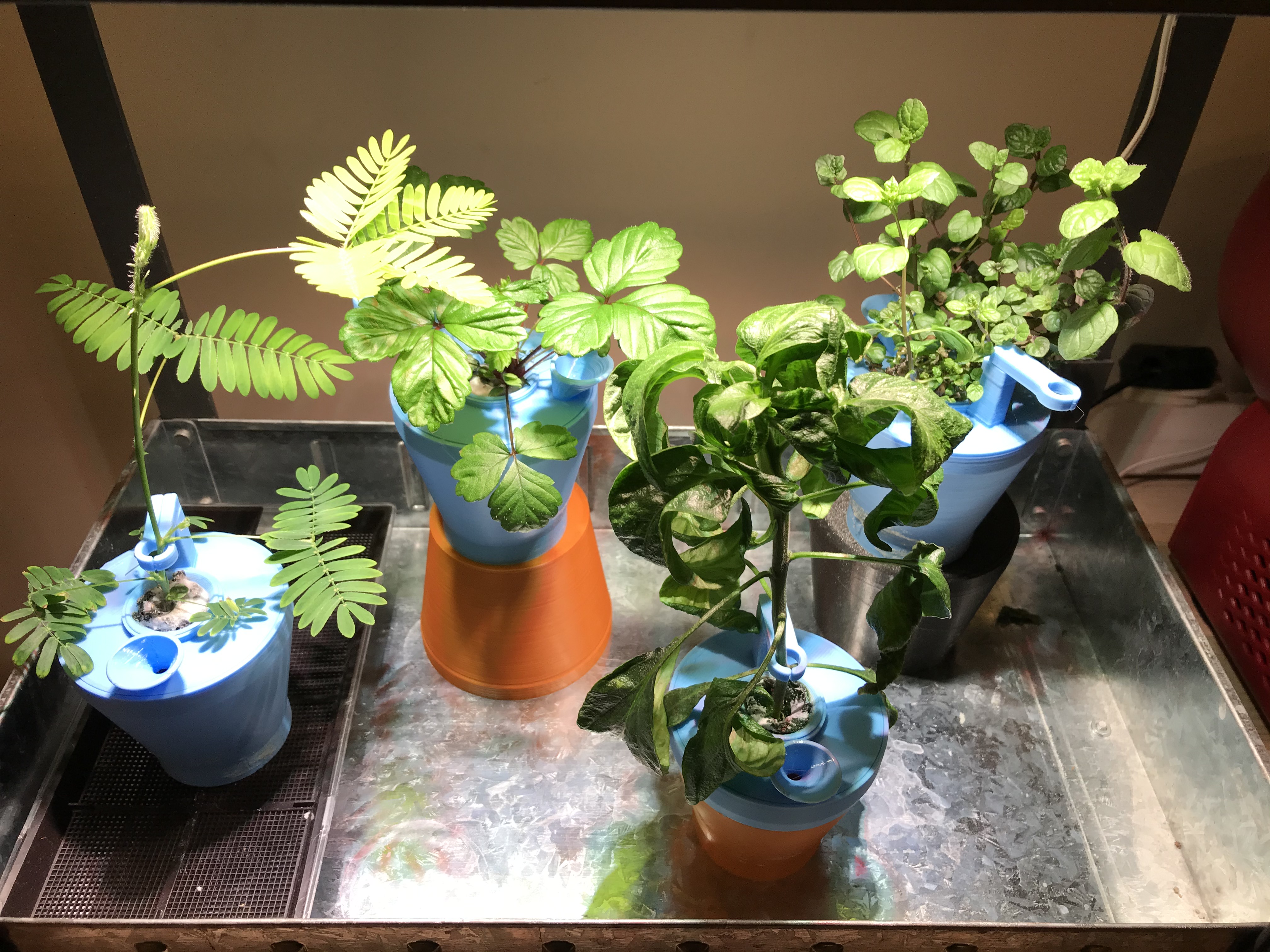 Hydroponic Plant Pots