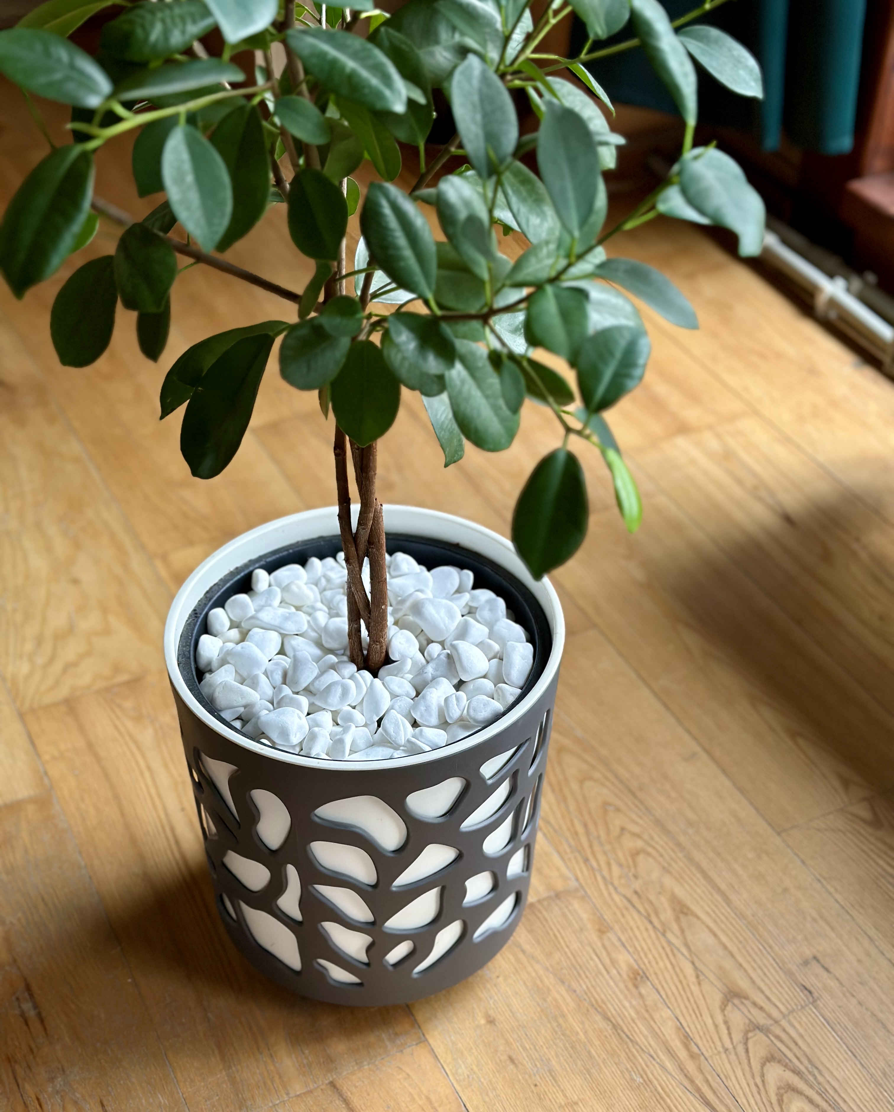 Stones Holder For Planter By Amstaffcrew Download Free STL Model stones-holder-for-planter-by-amstaffcrew-download-free-stl-model
