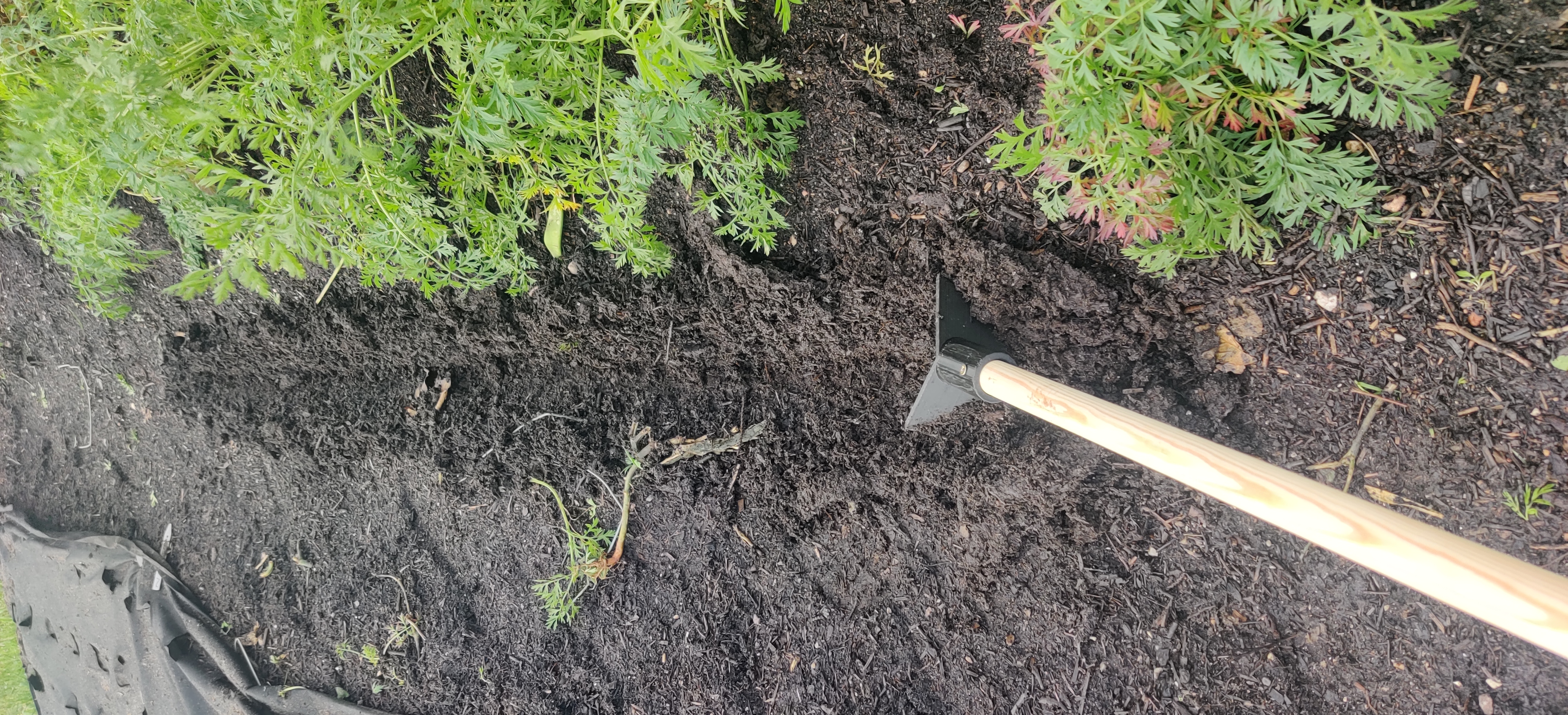 Handplow