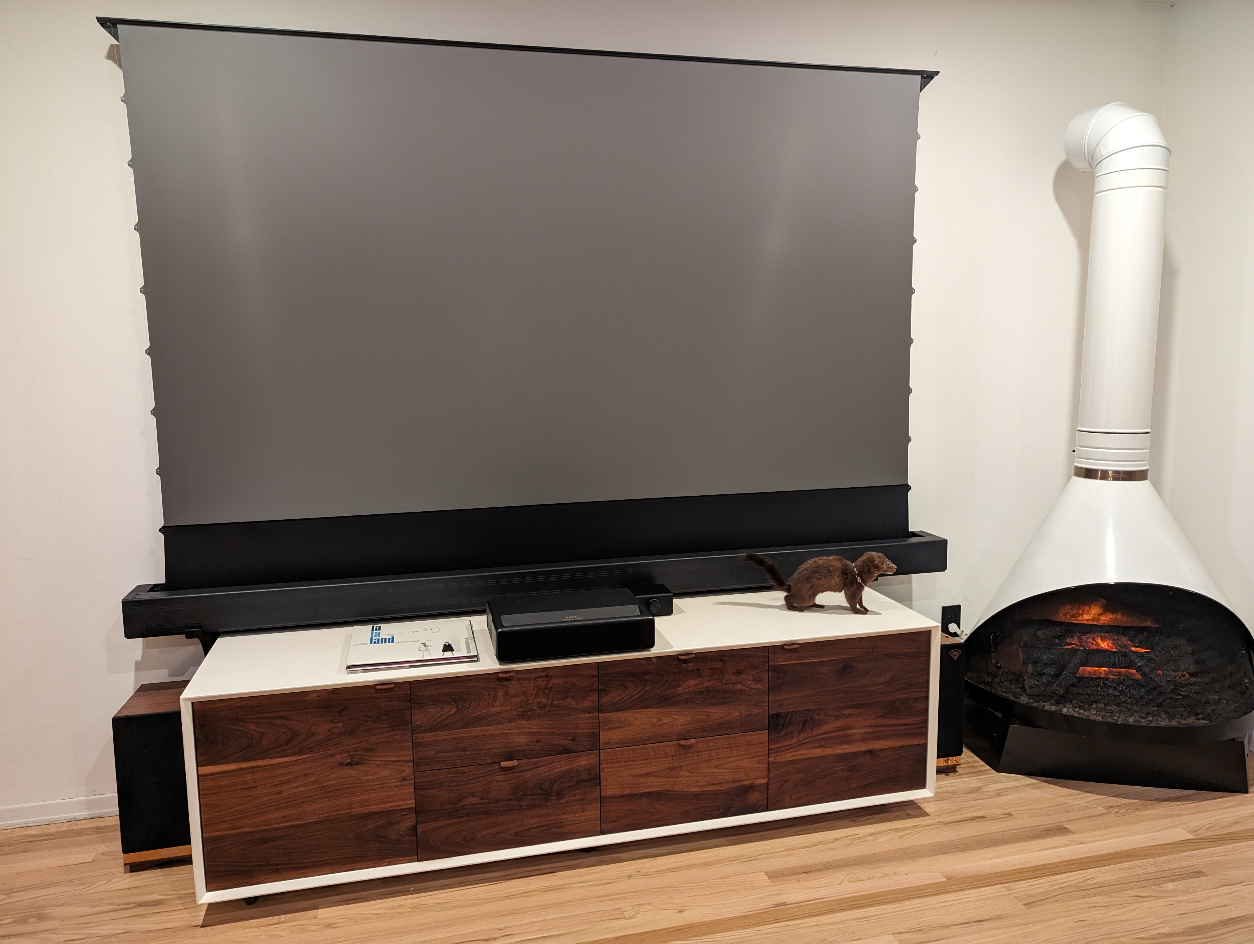 Projector