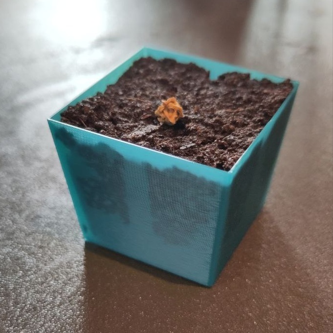 Anzuchttopf mit Deckel für Eazy Plug CT77