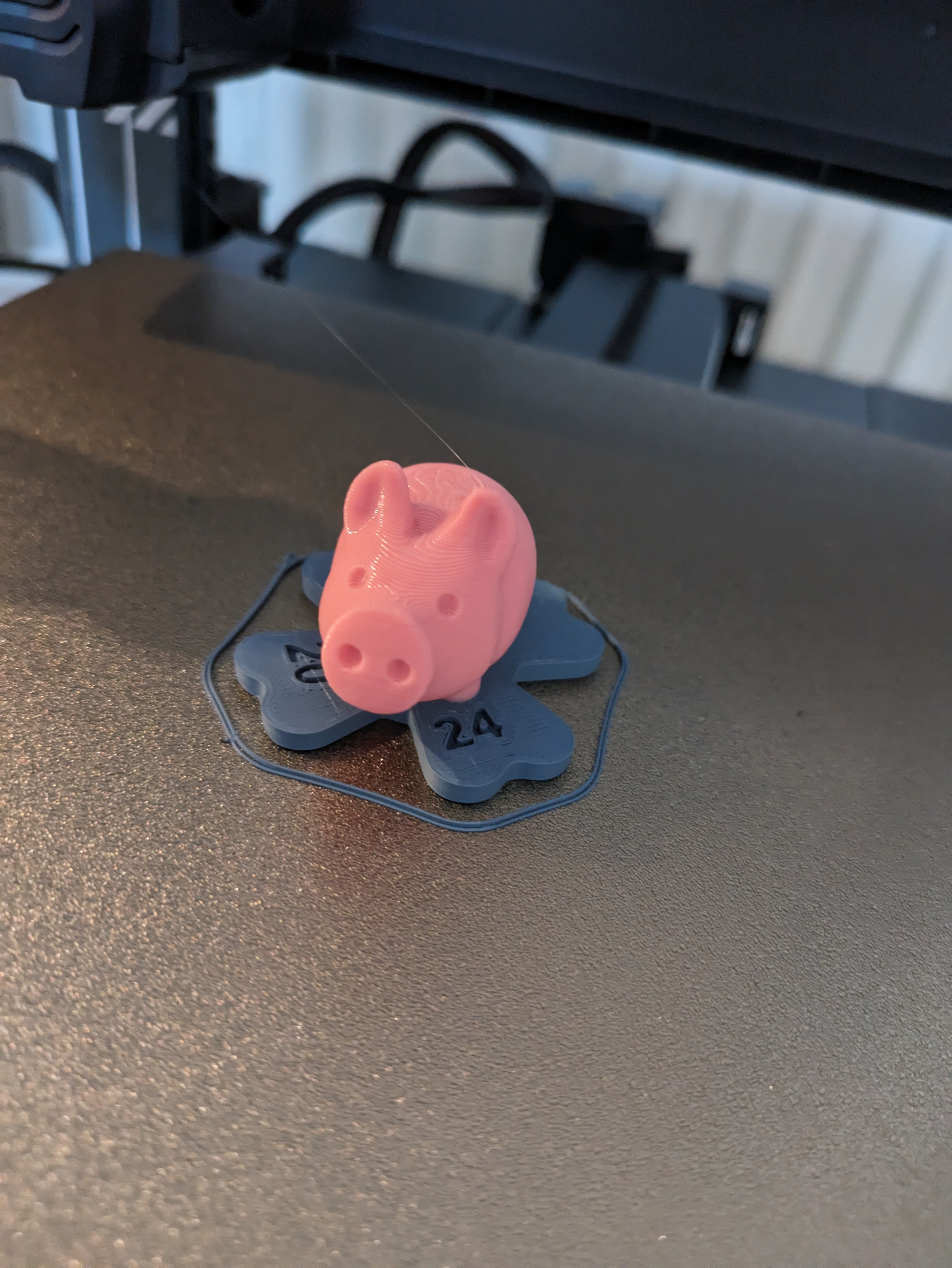 Happy New Year Pig 2024 (Glücksschweinchen)
