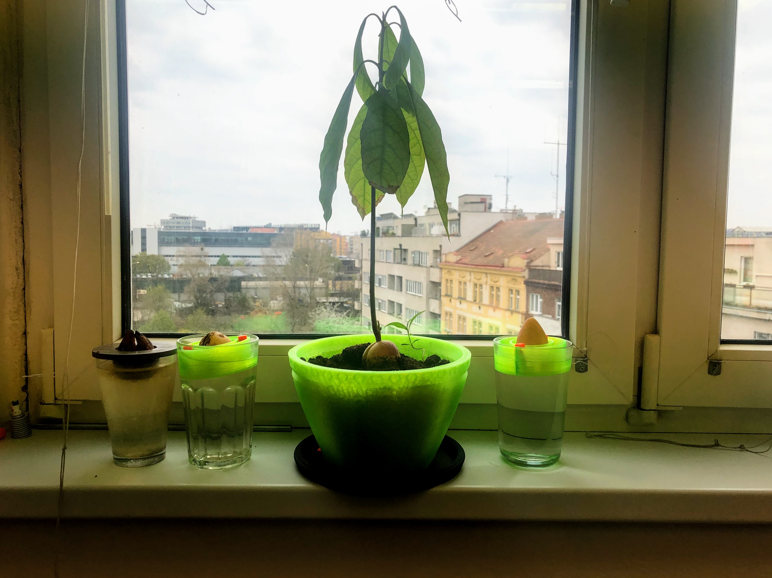 View 5