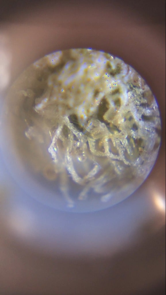 Miniatura 3 do modelo 3D Carson Microscope iPhone 5 Mount